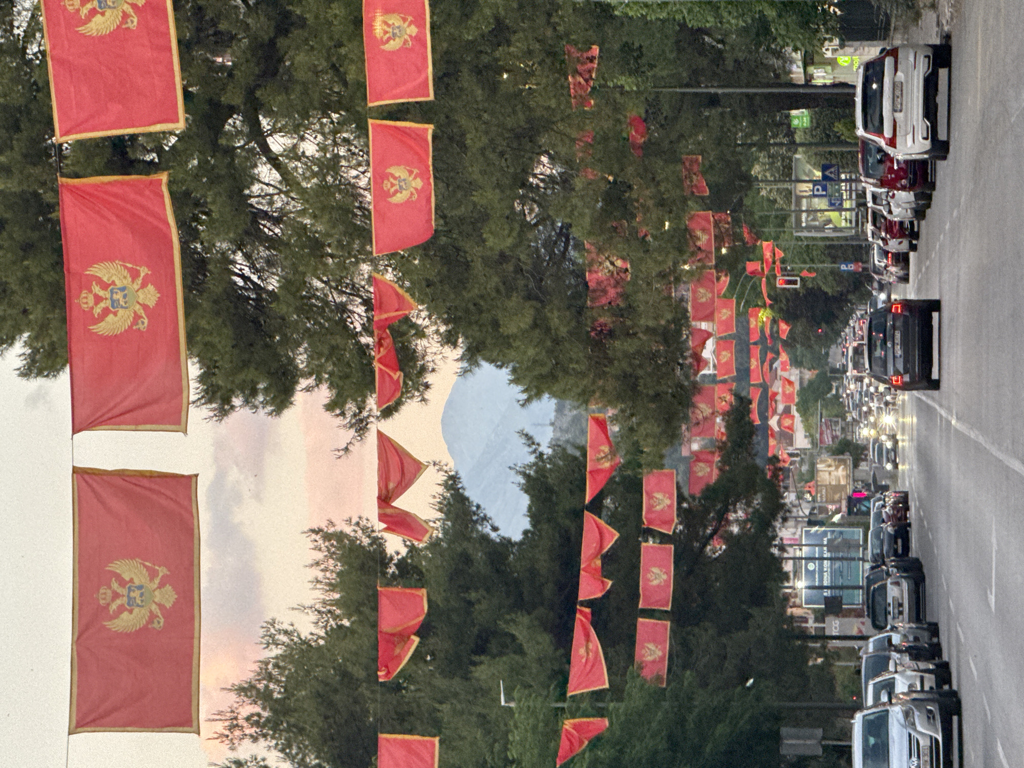 A street in Podgorica, Montenegro, is lined with Montenegrin flags. Traffic is flowing and parked cars line the side of the road. Trees frame the scene. A mountain is visible in the distance.