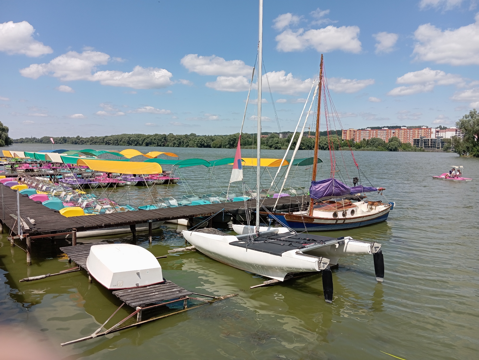 This image depicts a waterfront scene at a park or marina, likely in a city. In the foreground, a white catamaran is docked, with its hulls resting on wooden supports. To its left, a small white boat is overturned on a wooden platform. Behind these, a long wooden pier is lined with numerous colorful pedal boats, each with a canopy, extending into the distance along the water. Further out on the water, a small pink pedal boat with two occupants is visible. A larger sailboat with a wooden hull and white sails is moored to the right of the catamaran, its purple sail furled. The background features a dense line of green trees bordering the lake or river, beyond which a multi-story building complex can be seen. The sky is blue with scattered white clouds, suggesting a fair-weather day. The water is a greenish-brown hue, reflecting the sky and surrounding objects.