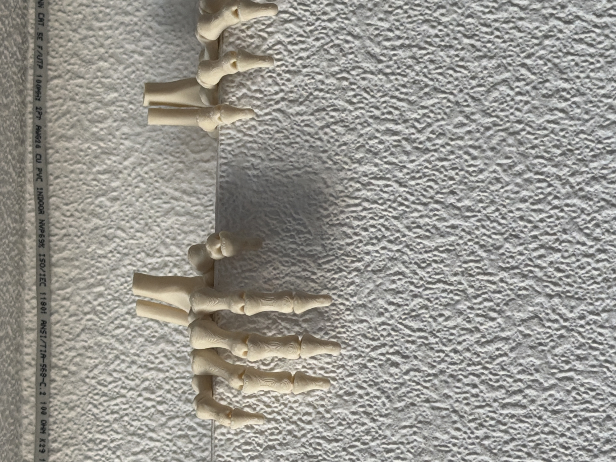 The image displays a close-up view of two artificial skeleton hands, made of a light-colored material, resting on a textured white surface that appears to be a wall. The hands are positioned as if reaching over the edge of a surface, with their fingers dangling downwards. One hand is on the left side of the frame, and the other is on the right. The background is a heavily textured white wall. There is text printed on a thin strip running horizontally across the top of the image, but it is largely illegible due to the angle and focus. There is no indication of a specific location in Baku, Azerbaijan, nor are there any people or discernable actions or interactions. The scene is static and appears to be a decorative or artistic arrangement.