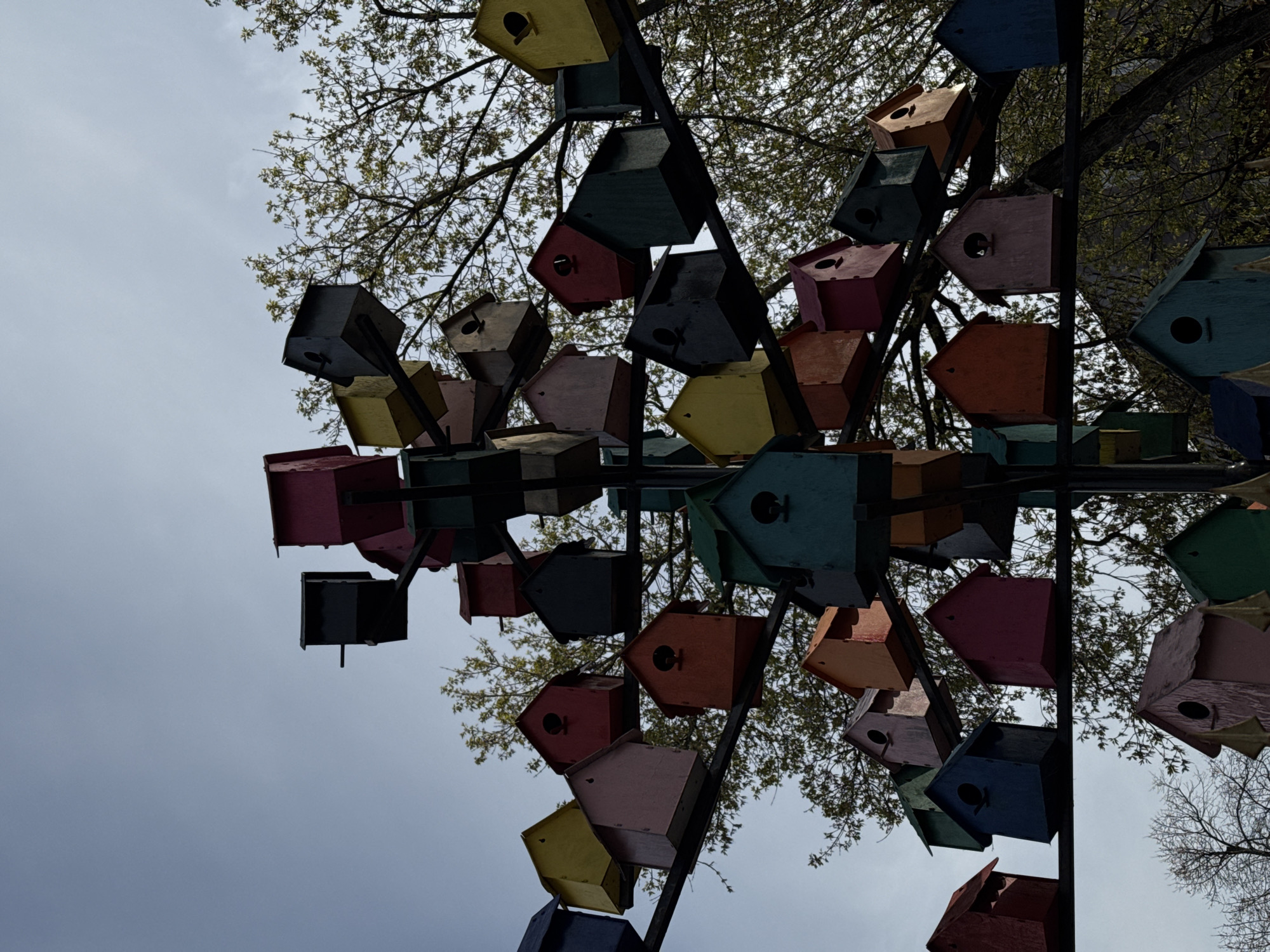 This image, captured from a low angle, features a dense, artistic arrangement of numerous colorful birdhouses. The birdhouses are made of wood, painted in a variety of shades including yellow, dark green, red, pink, orange, blue, and dark grey. Each birdhouse has a cube-like body with an angled roof and a circular entrance hole, some equipped with small perches.
The birdhouses are mounted on a dark metal structure or series of poles, creating a clustered, almost sculptural display that fills much of the frame. They are oriented at various angles, giving a dynamic and somewhat disorienting perspective. Behind and interspersed among the birdhouses, a network of tree branches with sparse, light green foliage suggests an early spring setting. The background is dominated by a uniform, light grey, overcast sky.
No specific activity or event is taking place; the image captures a static installation. The muted light indicates a daytime shot, likely under cloudy conditions. There are no people visible, nor any discernible text. While the location is contextualized as Moscow, Russia, there are no explicit visual cues within the image itself to confirm this. The overall impression is one of whimsical design and a vibrant, albeit man-made, addition to a natural setting.