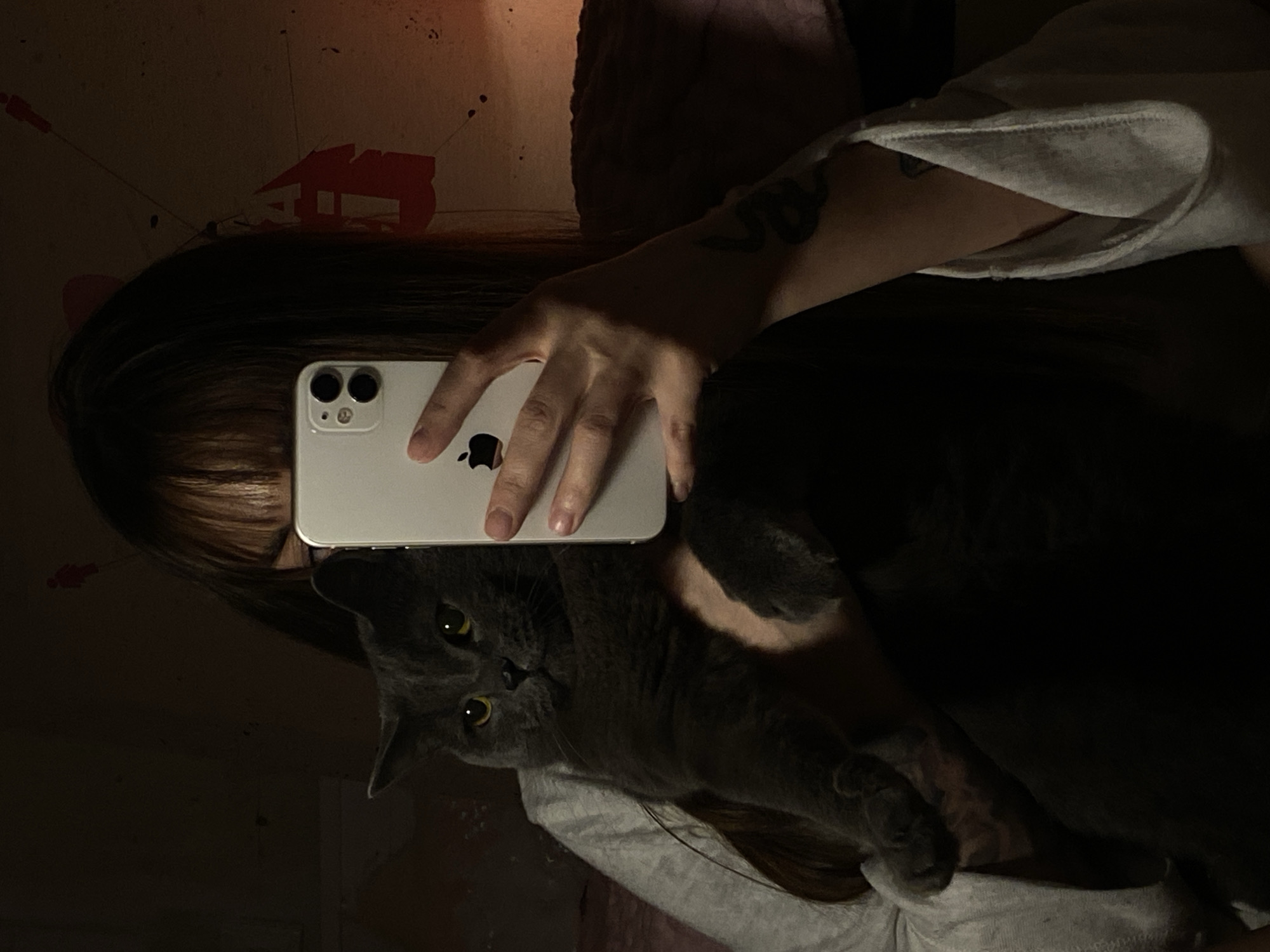 A person with dark hair and bangs holds a white iPhone in front of their face, obscuring it except for the bangs. A dark gray cat with yellow eyes is positioned beneath the phone. The person's hand is visible holding the phone, and a snake tattoo is visible on their arm. The person is wearing a light gray top. The background is dimly lit and appears to be a wall with some dark red markings. There is no information in the image to identify the location as the city of Votkinsk, Russia.