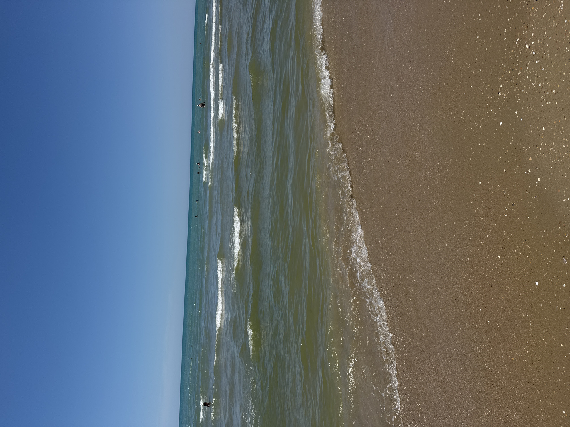 The image depicts a beach scene under a clear blue sky. The foreground shows a sandy beach with scattered small shells. The water is a greenish-blue with gentle waves. Several people are visible in the water, wading or swimming. The horizon line is distinct, separating the water from the sky. No specific landmarks or features in the city of Krasny, Russia, are identifiable in this generic beach landscape.