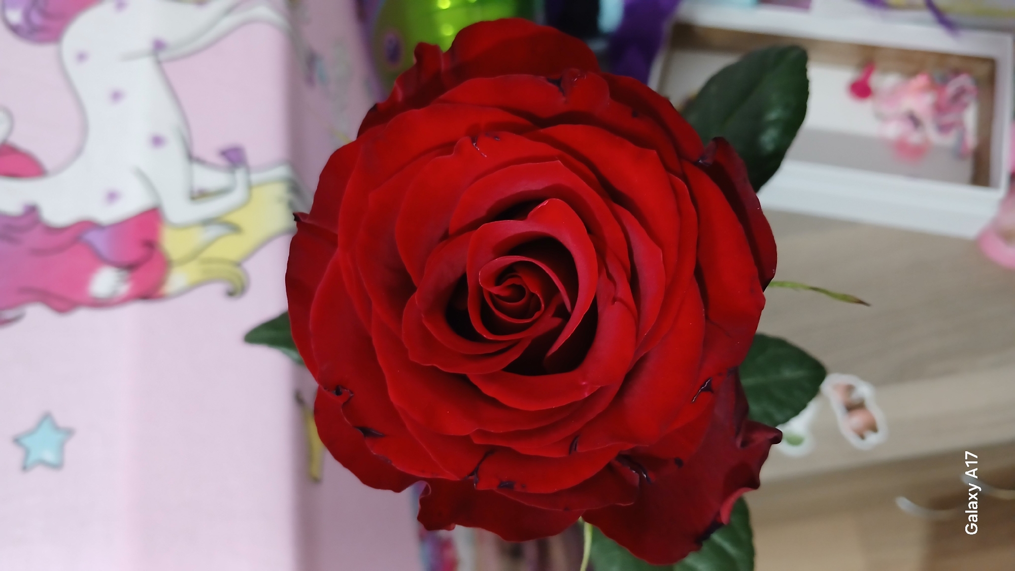 A close-up photograph features a vibrant red rose, its petals densely arranged in a spiral pattern leading to a dark center. Green leaves are visible behind and to the side of the rose. The background includes a blurred image of a pink surface with a cartoon unicorn and a white framed object. The photograph was taken on a Galaxy A17 mobile phone, as indicated by the watermark in the lower right corner. While the image does not provide enough information to determine the precise location within Yekaterinburg, Russia, the presence of a toy unicorn suggests it may have been taken in a domestic setting, possibly a child's room.