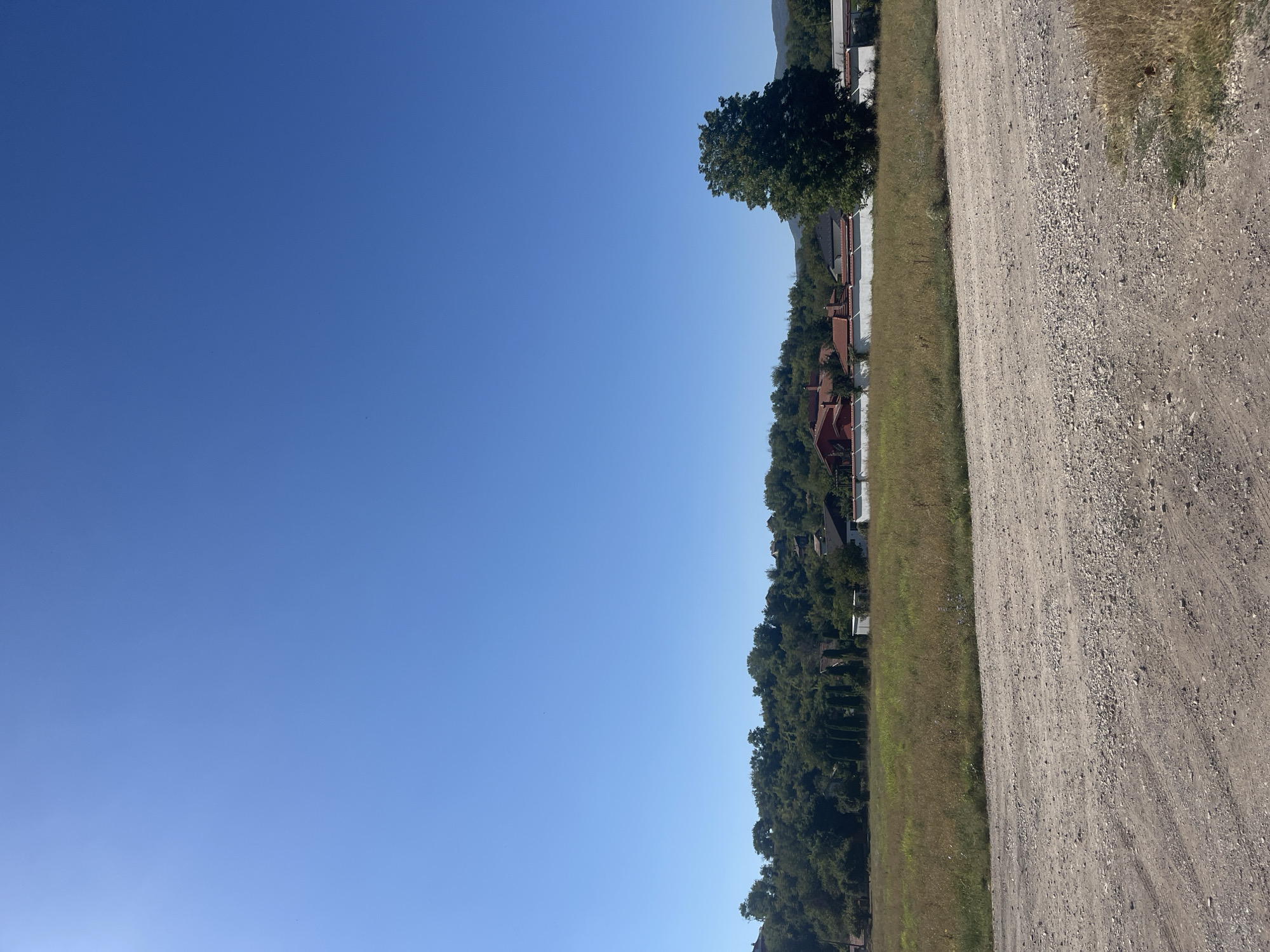 The image captures a rural landscape on a clear, sunny day, likely located on the outskirts of Targovishte, Bulgaria. In the foreground, a dusty, unpaved road traverses the bottom portion of the frame, composed of gravel and dirt with visible tire tracks. Beyond the road, a field of dry, golden-brown grass and sparse vegetation stretches across the mid-ground.
Further back, a line of residential buildings with red tile roofs is visible, interspersed with trees and white perimeter walls. A large, mature tree with a dense canopy stands prominently on the right side of the mid-ground, near the buildings. The background features a verdant, tree-covered hillside, rising gently towards the horizon. The sky is a vast expanse of uninterrupted, bright blue. No people are present in the scene.