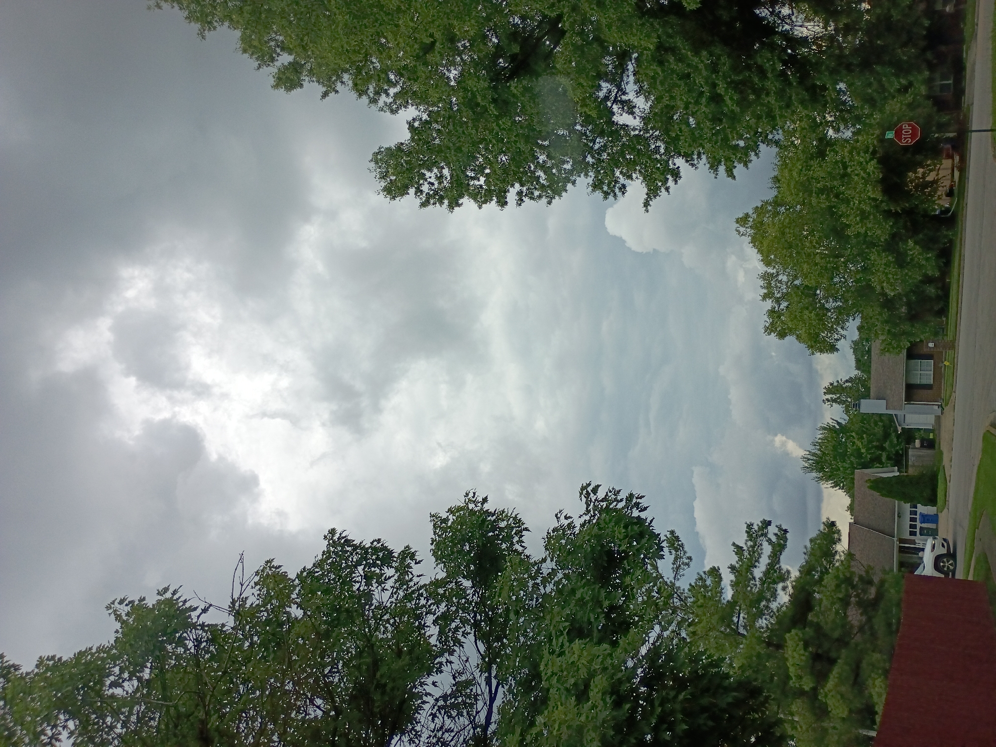 A suburban street scene in Lexington, Kentucky, is depicted under a heavy, overcast sky. Two large, mature trees with dense green foliage frame the upper half of the image, their branches reaching towards the center where the clouds are thickest. In the middle ground, houses with peaked roofs and neutral siding are visible, interspersed with more trees. A white SUV is parked in front of one of the houses. A red fence runs along the left side of the foreground. A stop sign stands on a pole at the intersection in the lower right quadrant of the image. The overall mood is subdued, suggesting impending rain or the aftermath of a storm.