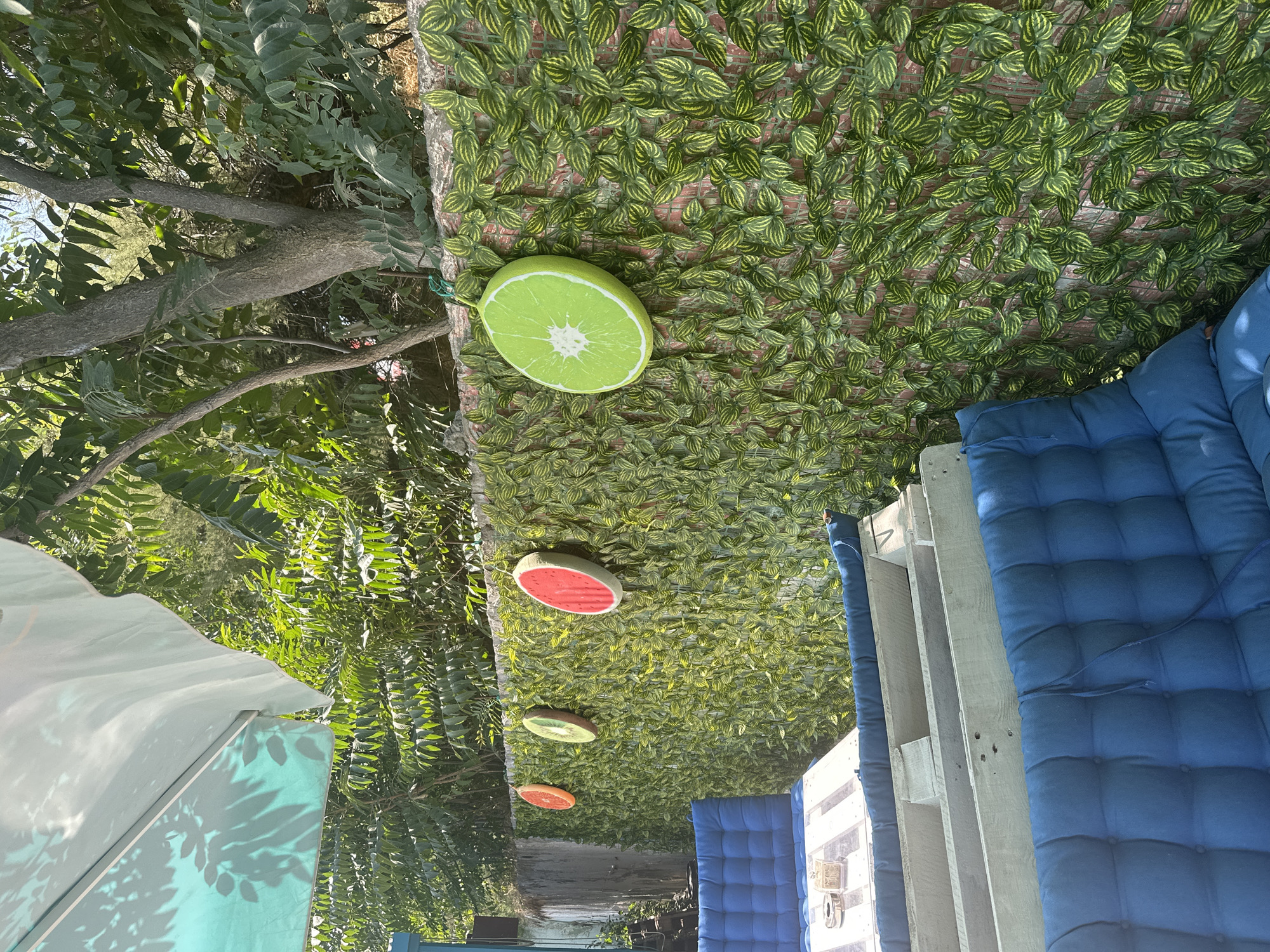 This image depicts an outdoor seating area in Pomorie, Bulgaria, likely at a cafe or restaurant. The scene features a wall covered in artificial green leaves, onto which several circular, fruit-shaped decorations are hung. These decorations resemble slices of orange, kiwi, and watermelon. In the foreground, there are several seating areas with wooden benches and blue upholstered cushions. A table made of stacked pallets is visible, with some items on its surface, including what appears to be an ashtray and a small box. Above the seating area, a portion of a light-colored umbrella casts a dappled shadow. Lush green foliage and trees are visible in the background, suggesting a sunny day. The overall impression is one of a casual and inviting outdoor space.