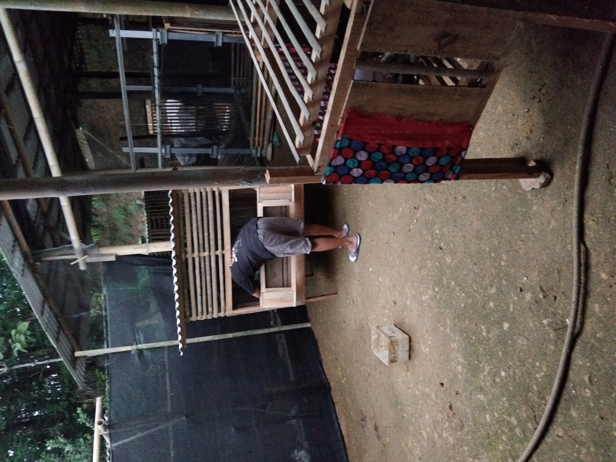 A person wearing a black t-shirt and gray shorts is bent over, reaching into a wooden coop. The coop has horizontal slats and a corrugated metal roof. The scene appears to be outdoors, possibly a farm or rural area, with dirt ground and vegetation in the background. A black mesh screen is visible on the left side of the image, and a small white container sits on the ground in front of the coop. Further back, there is another structure with metal supports and more wooden slats. A colorful cloth, red and patterned with circles of blue, green, and red, is draped over the front of a wooden structure to the right of the person. A dark hose lies on the ground in the foreground. The lighting suggests it may be evening or a shaded area. The location is specified as Sambirata, Indonesia.