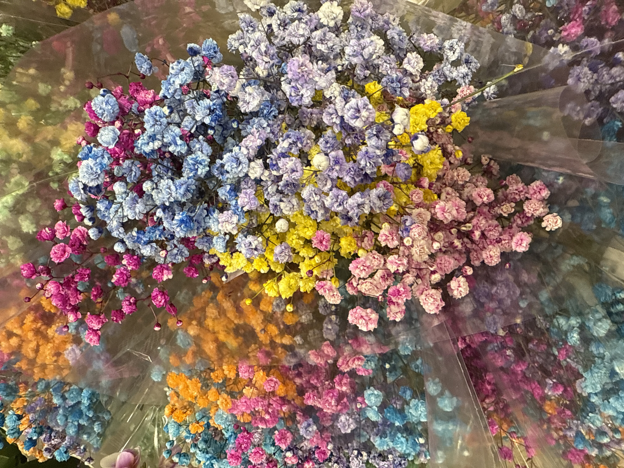 The image shows a variety of colorful Gypsophila flowers, commonly known as baby's breath, arranged in bouquets. The flowers are dyed in different colors including blue, pink, purple, yellow, and orange. Each bouquet is wrapped in a clear plastic packaging. The context suggests the location is a flower shop, potentially located in the city of Hollywood, United States of America. No people are visible in the frame. The scene focuses solely on the presentation and arrangement of the colorful floral bouquets.