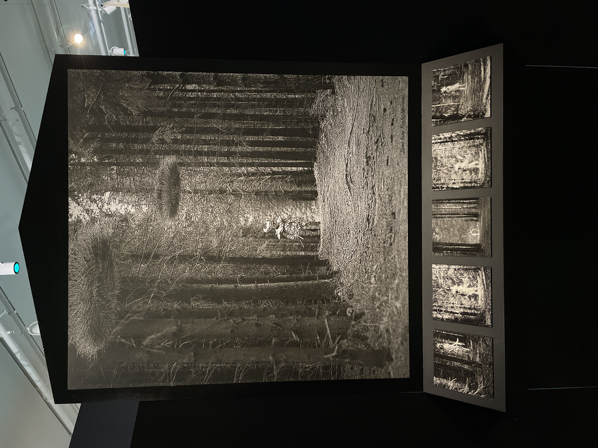The image shows a black and white photograph displayed in an art exhibition. The photograph depicts a forest scene with a path leading through the trees. To the right of the main photograph is a vertical arrangement of smaller, similarly styled photographs. The exhibition appears to be indoors, in Moscow, Russia, as the inscription "Paint from FenSo Museum" is visible in the first photograph. The overall lighting is dim, focusing attention on the artwork. There are no people visible in the scene.