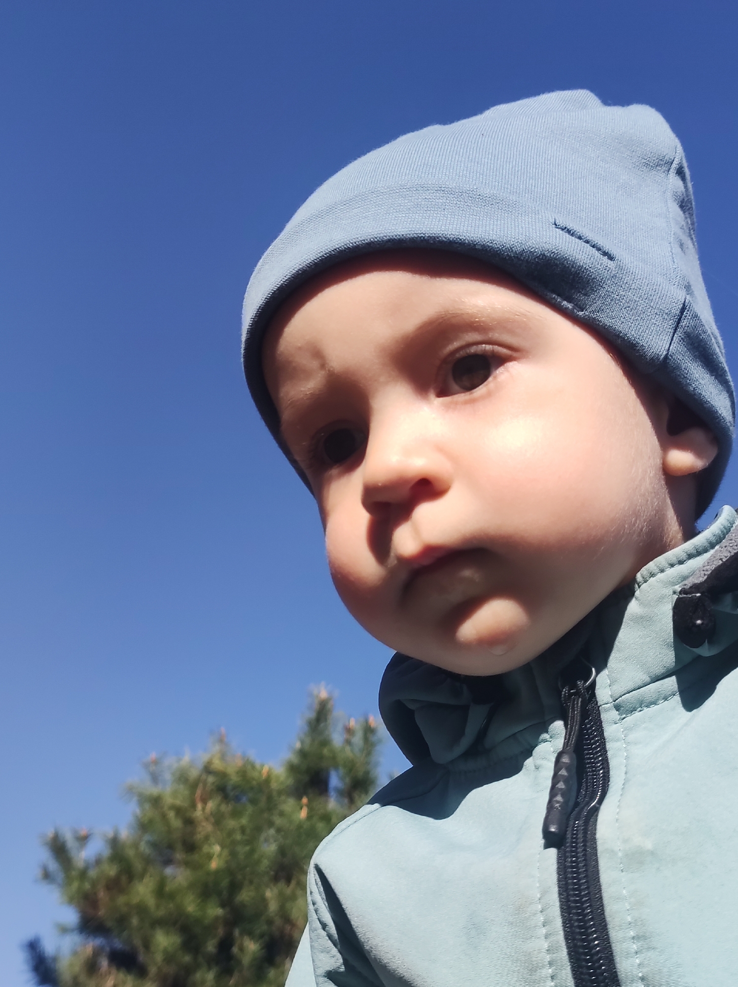 A low-angle close-up captures a young child wearing a light blue beanie and a light blue jacket with a black zipper. The child has fair skin and brown eyes, and appears to be outdoors on a sunny day. A small green bush or tree is visible in the lower left corner of the frame, with a clear blue sky filling the background. There is no explicit evidence to determine that the location is in the city of Фоки, Russia.