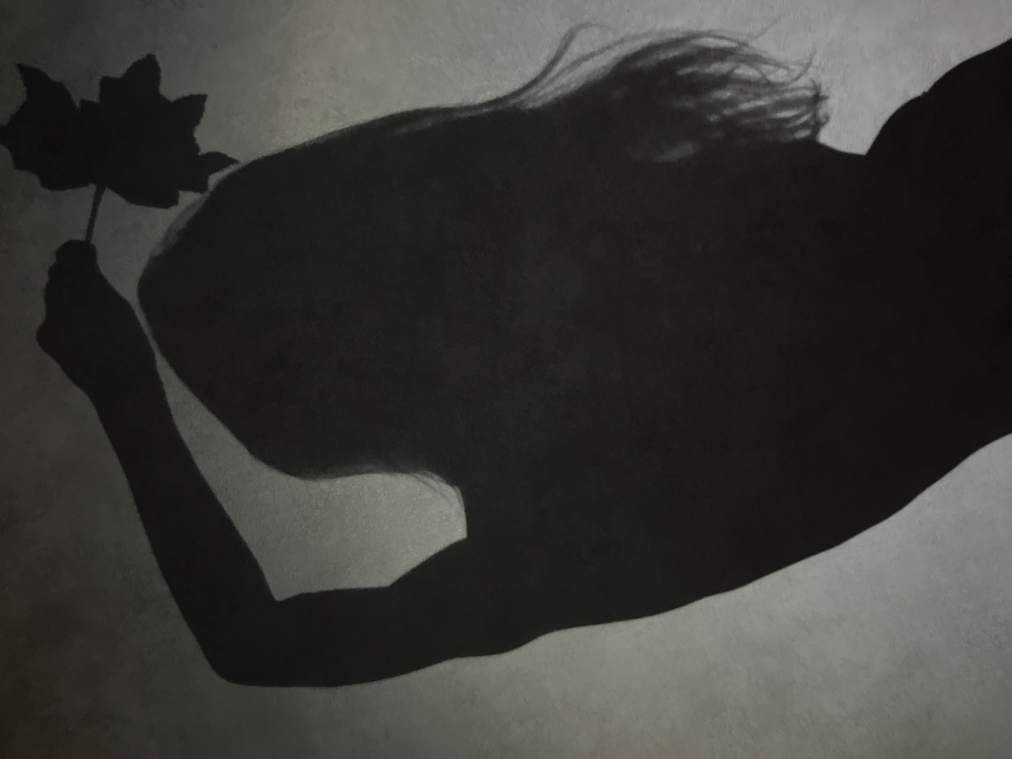 The image depicts a shadow cast on a light-colored wall. The shadow appears to be that of a person with long hair holding a flower or a similar leafy plant. The person's arm is extended, and the hand is holding the stem of the plant. The shape of the head, shoulders, and arm are discernible. The background is a plain wall with a slightly textured surface. There is no evidence to confirm this photo location is in Chaikovsky, Russia.