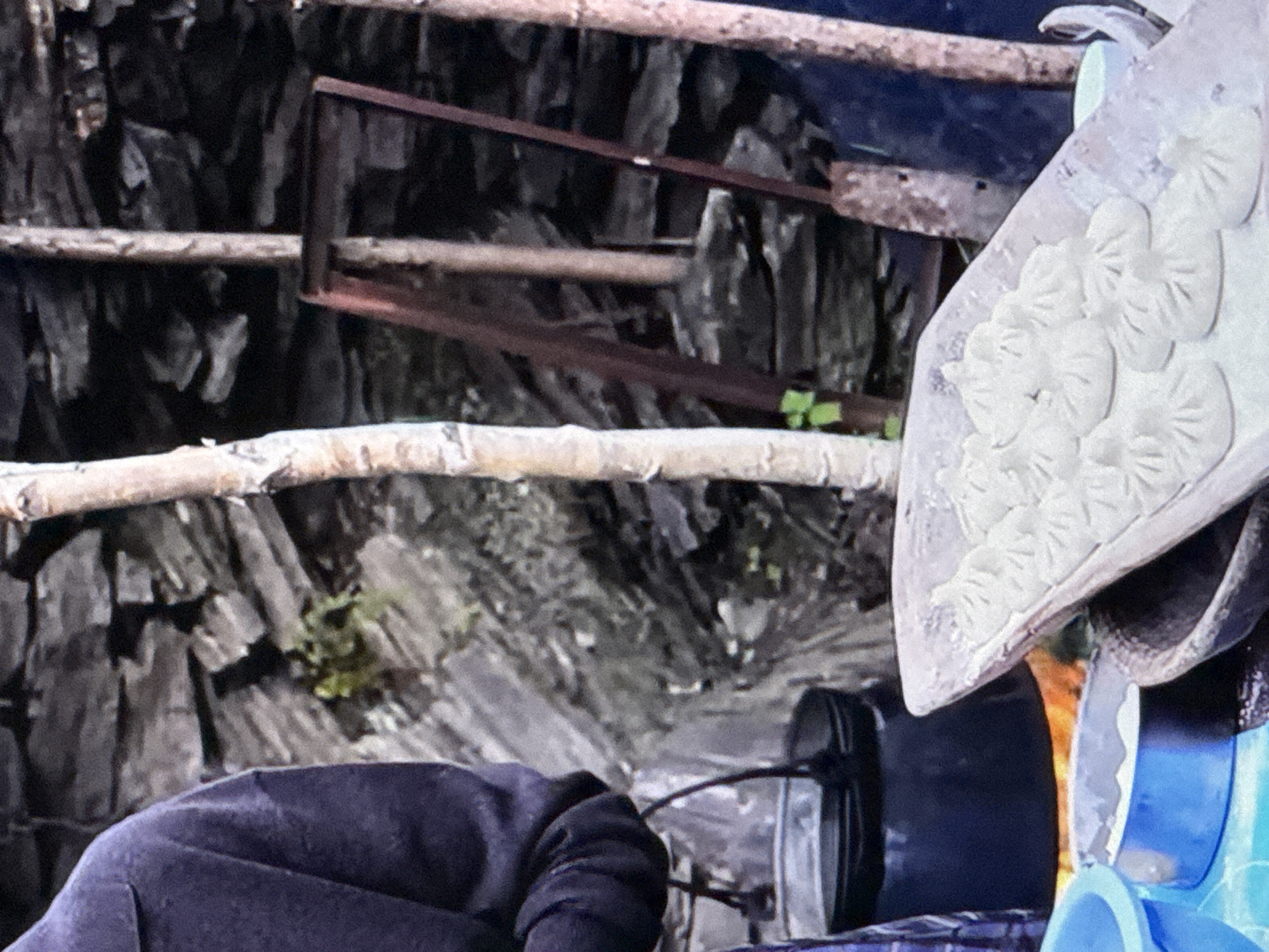 The image shows a close-up of a person wearing a dark blue garment, holding a black pot. In the foreground, a tray is filled with numerous small, white, uncooked dumplings, possibly Khinkali, dusted with flour. Behind the dumplings, two wooden poles stand vertically. The background consists of a rough, stone wall and a dark blue surface. A red metal frame, possibly a tool or part of a structure, is visible leaning against the wall. The scene appears to be outdoors, given the rough, natural materials and the presence of plants. The lighting suggests an overcast day or shaded area.