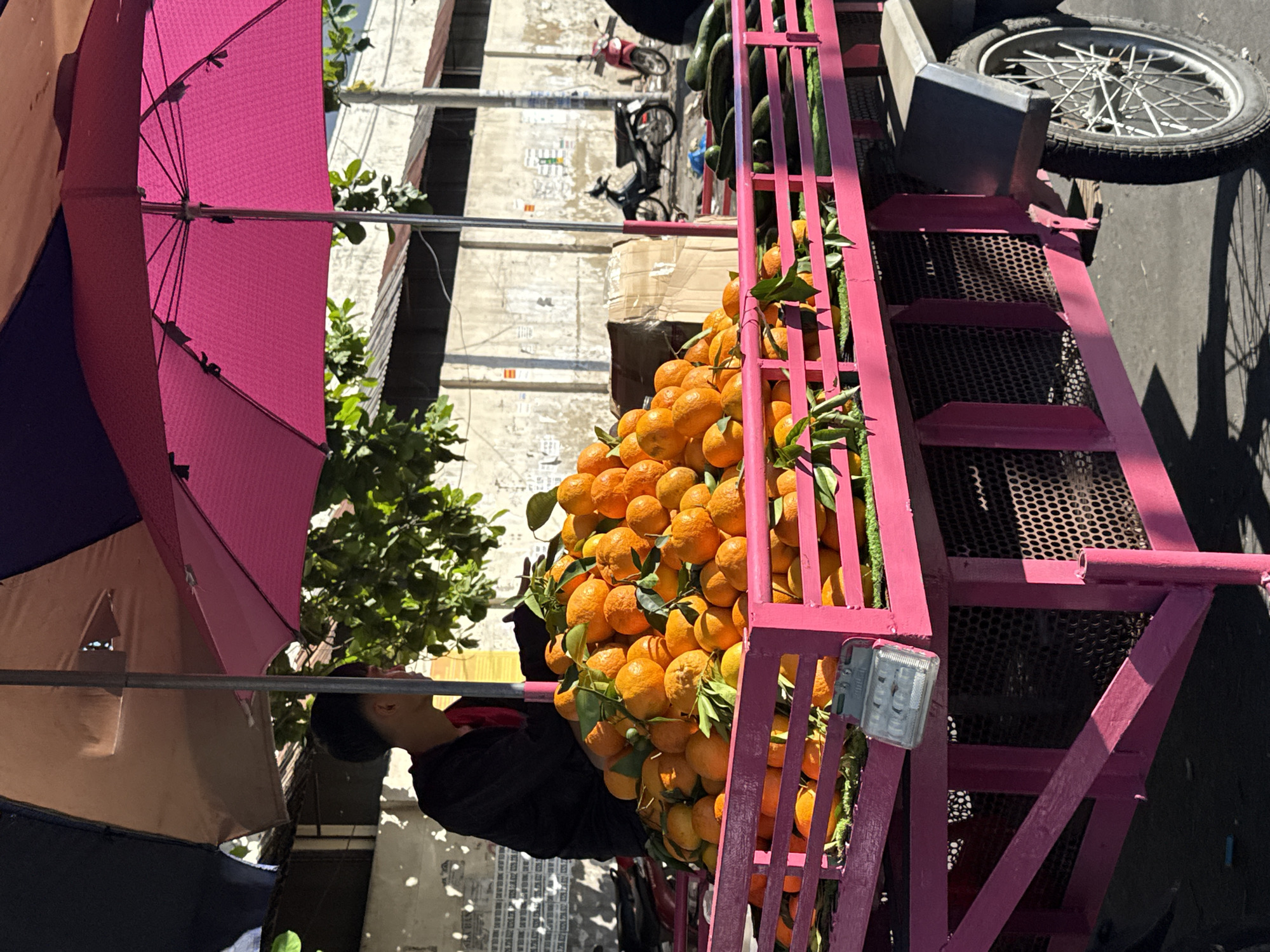 A street vendor is seen at a market stall in Bac Nha Trang Ward, Vietnam. The vendor, partially obscured by umbrellas and a large pile of oranges, stands behind the cart. The cart is a vibrant pink, laden with a generous amount of oranges, with some green leaves interspersed. To the right of the oranges, a row of dark green cucumbers is visible. The cart itself is supported by a metal frame and has a wire mesh side. A bicycle wheel is attached to the right side of the cart. Behind the cart, a concrete wall with various posters and markings serves as a backdrop. Two motorcycles are parked in the background, one black and one pink. The scene is illuminated by sunlight, casting shadows on the ground.