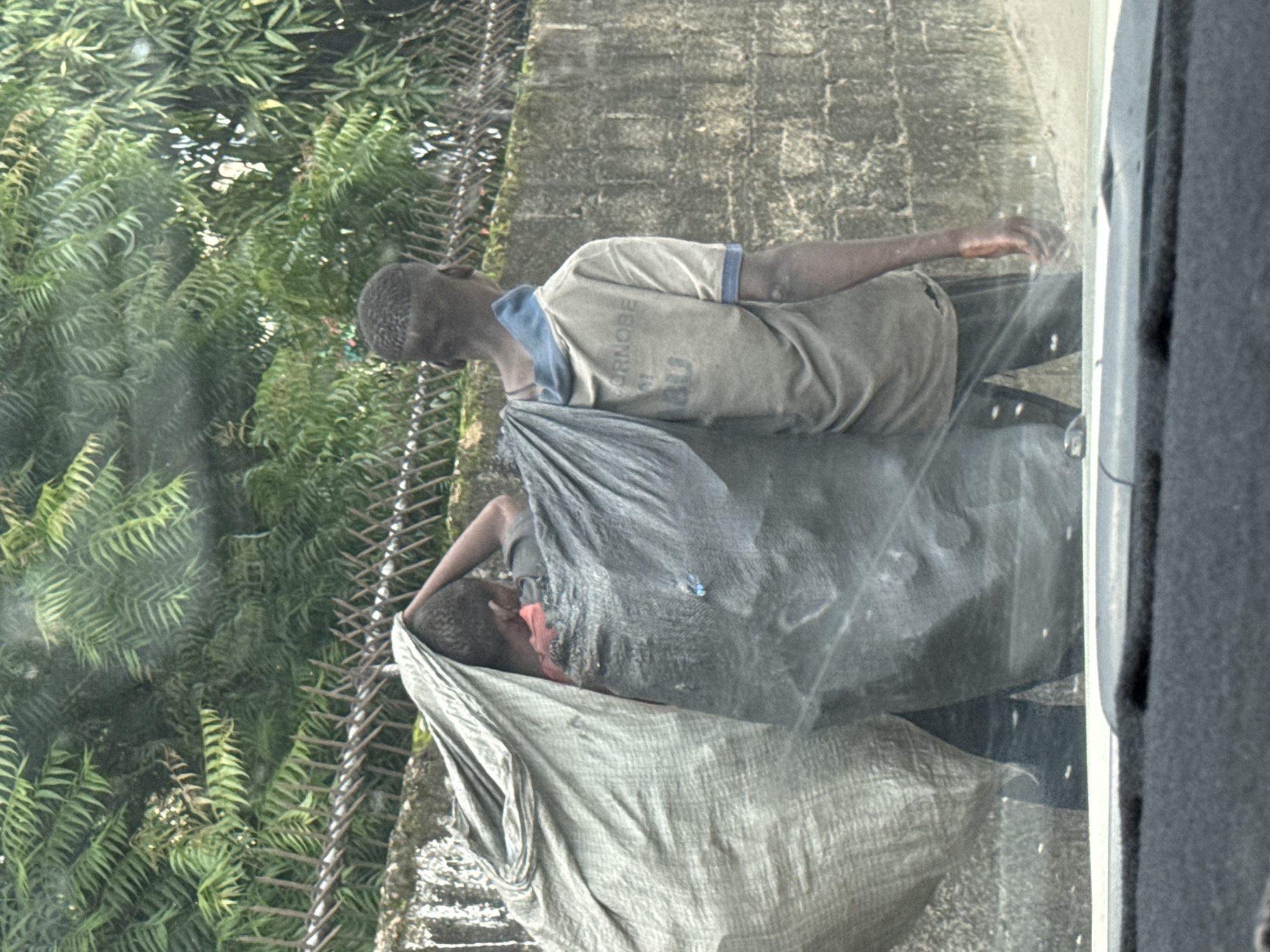 The scene is a street in Lagos, Nigeria, likely captured from within a vehicle. A young man walks along a sidewalk, carrying a large sack over his shoulder. He wears a t-shirt and dark pants. Next to the sidewalk is a green area with thick vegetation and a metal fence. The sidewalk appears to be made of concrete. The photo is taken through a window, partially obscuring the view.