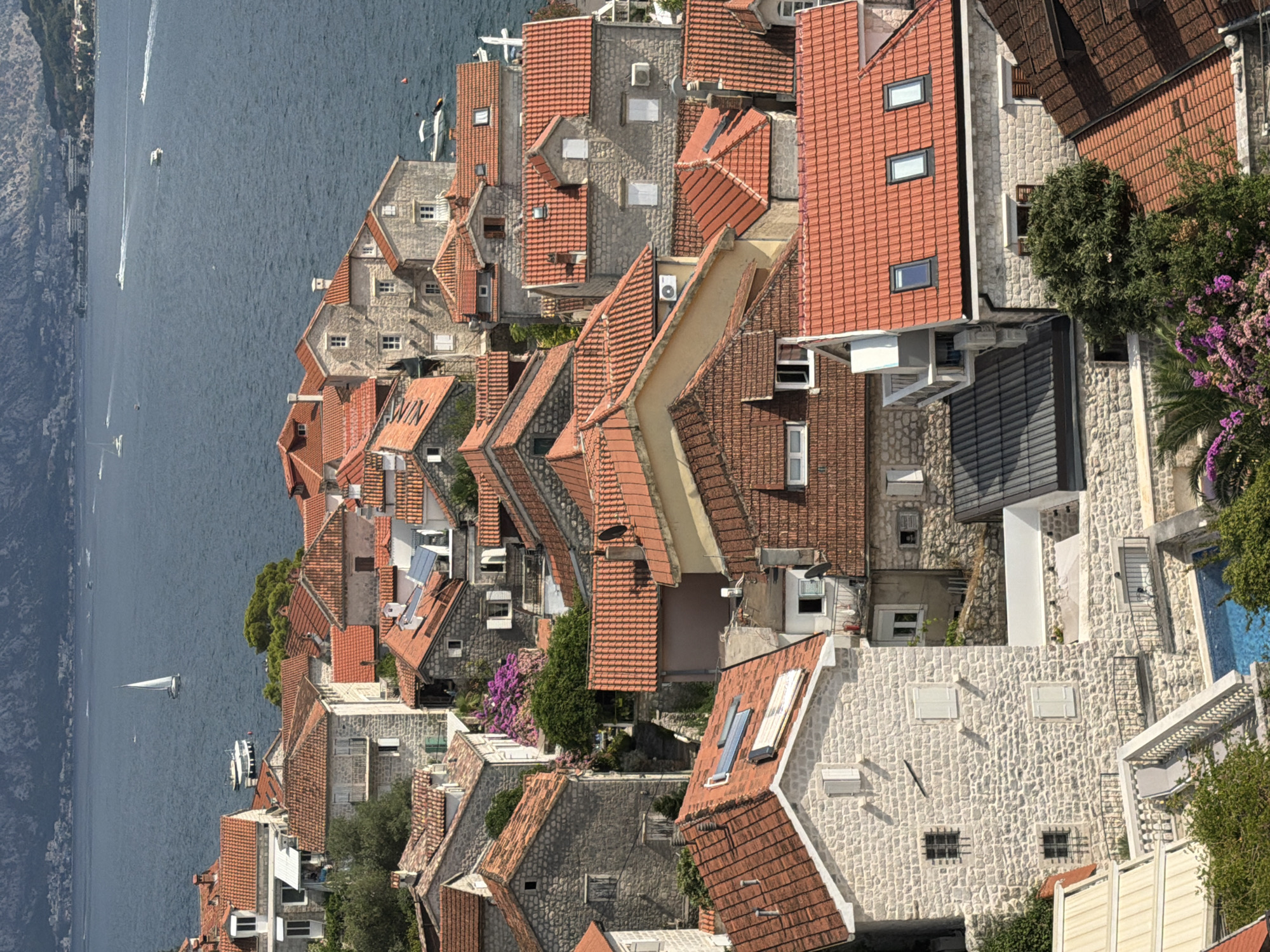 This is an aerial, eye-level photograph of a densely packed cluster of stone buildings with red tile roofs in the city of Perast, Montenegro. The buildings are several stories high and vary in architectural style, with some featuring multiple windows and balconies. The city is situated on a body of water, likely the Bay of Kotor, which is visible in the background, with several boats and a sailboat dotting its surface. The distant shoreline is lined with more buildings and the slopes of a mountain range, veiled in a light haze.
In the foreground, a section of a stone house with white-shuttered windows is prominent. It appears to be part of a larger complex that includes a swimming pool with a bright blue surface, visible in the lower left corner. Stairs with black metal railings lead down to the pool area, and lounge chairs are placed nearby. Lush green foliage and vibrant purple flowers surround the pool and extend up the sides of some buildings, adding a touch of natural beauty to the urban landscape.
The image captures the charm and historic character of Perast, showcasing its coastal setting and the characteristic red-tiled rooftops that define its skyline. The light suggests it is daytime, possibly mid-morning or afternoon, as evidenced by the shadows cast by the buildings and foliage. There are no visible people in the immediate vicinity of the buildings or the pool, though figures may be present within the structures or on the boats in the bay. The scene is one of a tranquil Mediterranean town, bathed in sunlight.