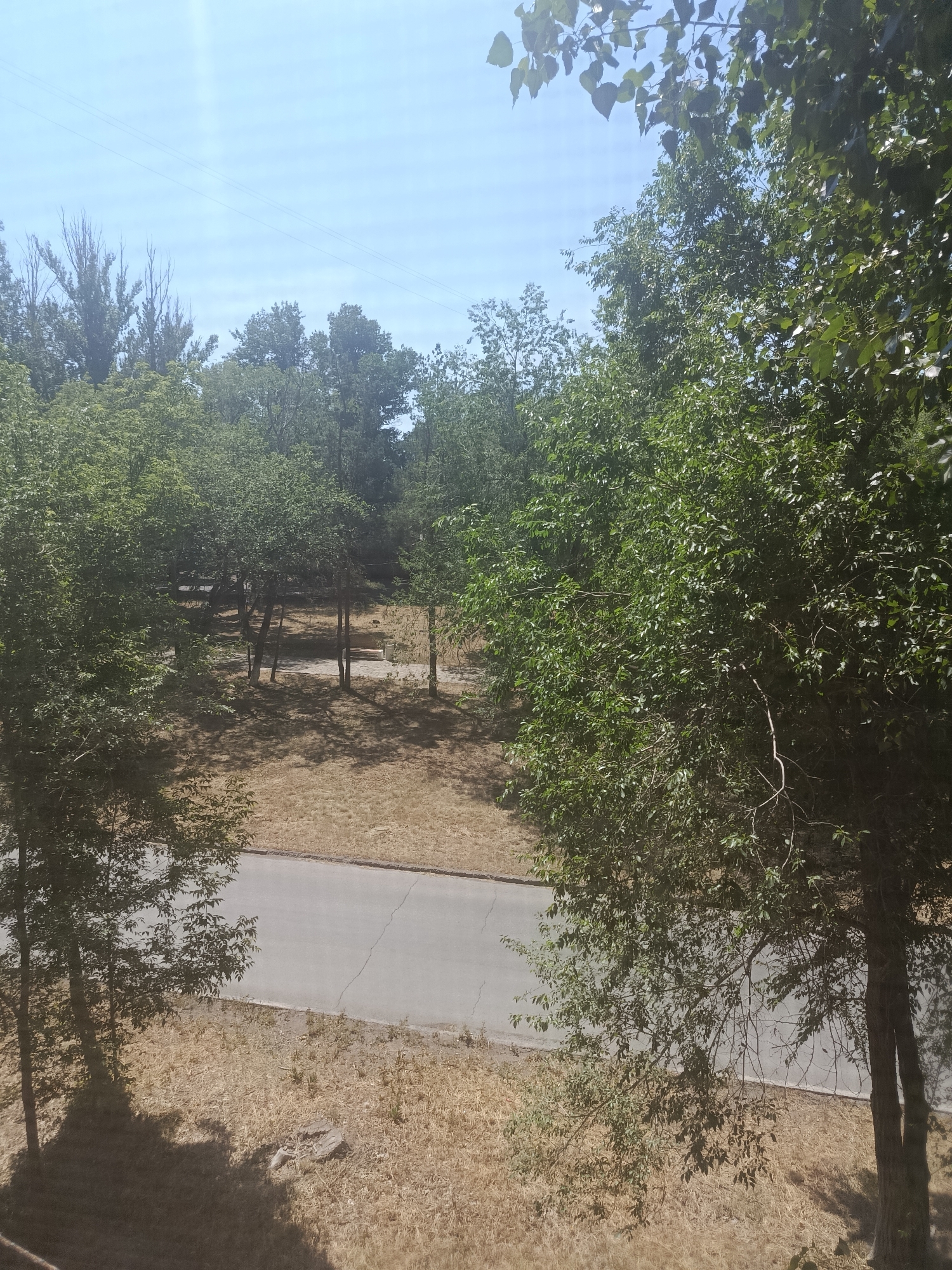 A paved road runs horizontally across the lower portion of the image, with dry, golden grass on either side. A thin, lighter colored line runs parallel to the road, dividing it. Trees with abundant green foliage line the sides of the road and extend into the background, casting dappled shadows on the dry grass. In the far background, more trees are visible, some appearing to be dead or without leaves. The sky is a pale blue with wispy white clouds and two thin, dark lines, likely power lines, stretch across the upper portion of the frame. The overall scene appears to be a park or natural area on a bright, sunny day.