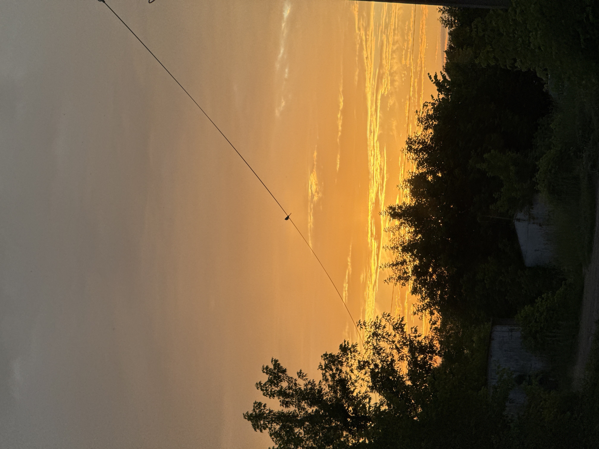 The media file shows a sky at sunset, with the sun’s rays casting a warm, orange glow. The sky is mostly clear with some wispy clouds scattered across it. In the foreground, there are trees silhouetted against the bright sky. A thin wire stretches diagonally across the frame, with a small object, possibly a bird, perched on it. To the right of the frame, there are some dark green trees and what appear to be two concrete structures, possibly walls or buildings, partially obscured by foliage. The overall mood is serene and peaceful, evoking the quiet beauty of a sunset. The time of day is clearly sunset, and the weather appears to be clear. The location context suggests Chaikovsky, Russia. There is no visible text in the image.