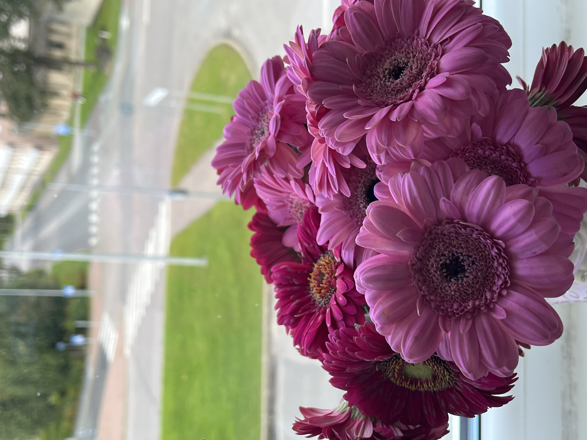 A bouquet of pink and magenta gerbera daisies is arranged in the foreground, with their petals reaching towards the viewer. The flowers are vibrant and detailed, with a clear focus on their textured centers and delicate petals. In the background, a blurred cityscape is visible through a window. The scene appears to be set indoors, likely on a windowsill, overlooking a street with a crosswalk, green grass, and buildings in the distance. The overall impression is one of domestic tranquility juxtaposed with an urban environment. The specific location is Kohtla-Järve linn, Estonia.