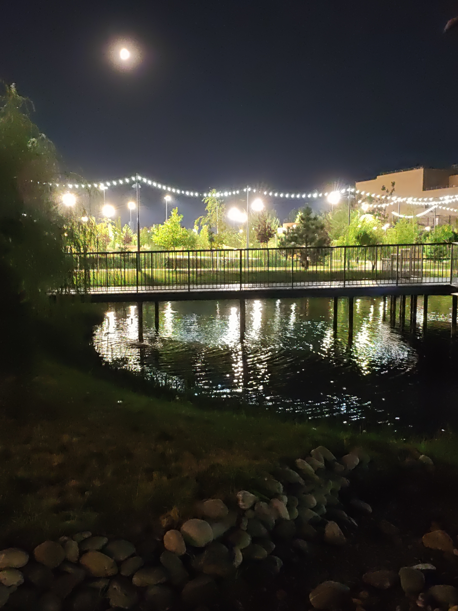 A night photograph captures a serene park scene with a bridge spanning a reflective body of water. The sky is dark, with a bright moon visible in the upper left quadrant. Along the horizon, strings of lights are strung between poles, illuminating the park. Trees with lush green foliage line the background, and a modern building with illuminated windows can be seen in the distance. The foreground features a grassy embankment with scattered rocks. The water below the bridge mirrors the lights and the surrounding environment, creating a peaceful and enchanting atmosphere. Based on a reverse image search, this location is identified as the Park of Culture and Leisure named after Revolution of 1905 in Rostov-on-Don, Russia.