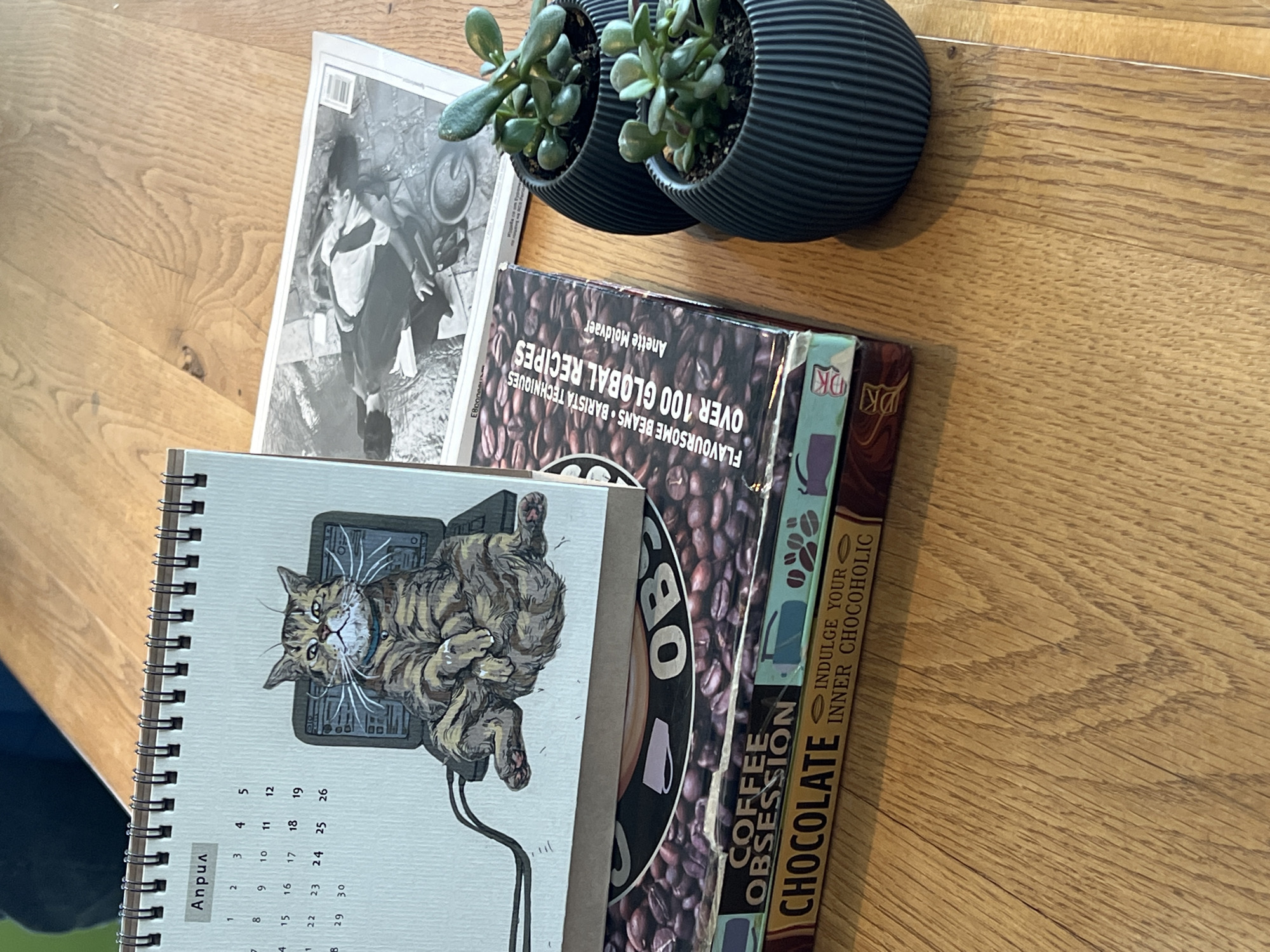 On a light brown wooden surface are several items: two small, dark gray, ribbed planters with jade plants; a black and white photograph or magazine; a cookbook titled "Coffee Obsession" by Anette Moldvaer, boasting "Over 100 Global Recipes" and featuring "Flavoursome Beans • Barista Techniques"; a second cookbook titled "Chocolate" that says "Indulge your inner chocoholic"; and a spiral-bound calendar, the month April is visible, featuring a drawing of a cat. The location is unknown and not mentioned in the provided image.