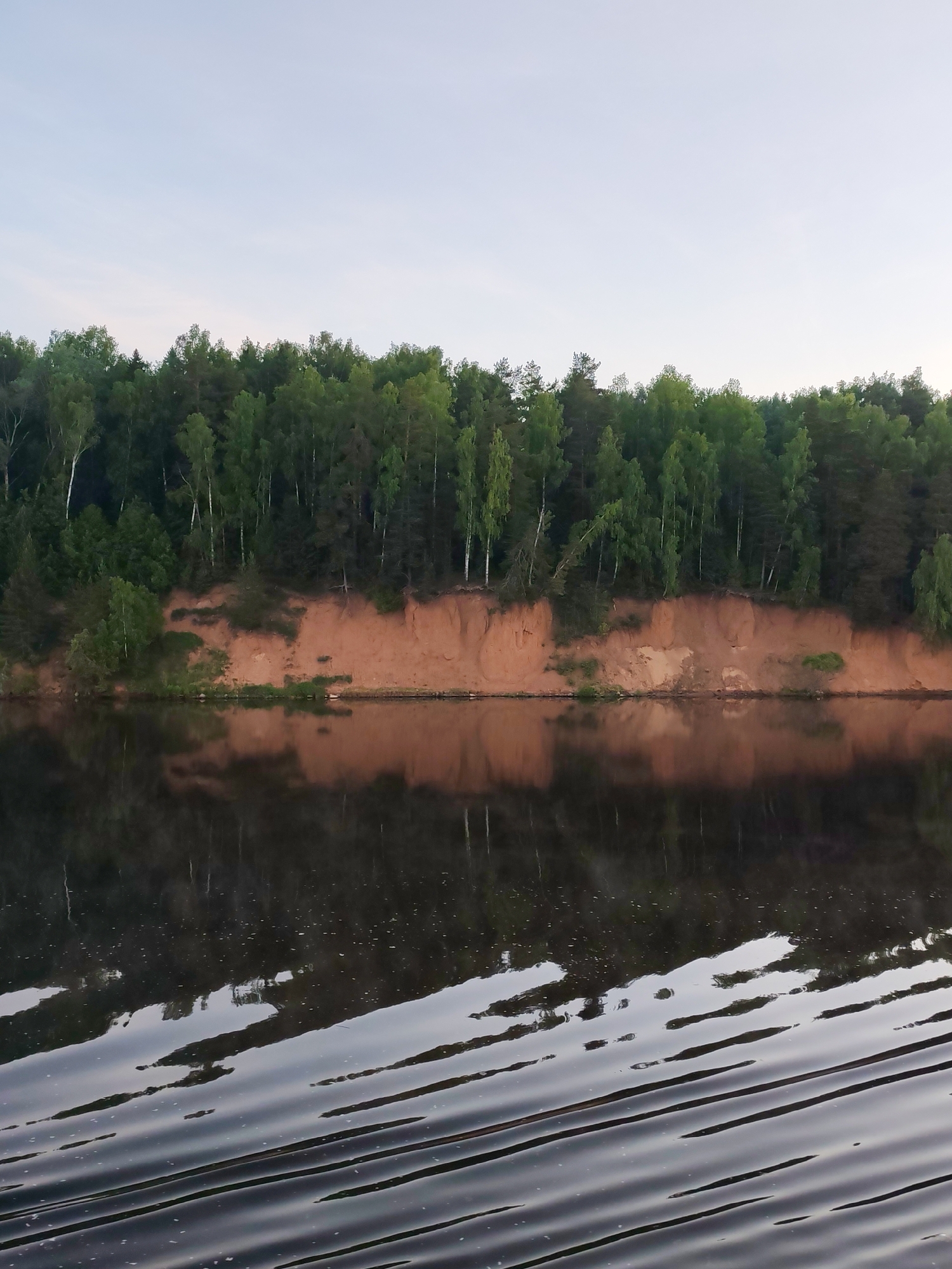 A natural landscape is depicted, featuring a river with an opposing forested bank under a light sky. The upper third of the image is dominated by a pale blue-white sky with minimal cloud cover. Below this, a dense, dark green mixed forest, composed of both coniferous and deciduous trees (including several slender, light-barked trees resembling birch), extends horizontally across the mid-ground. Directly beneath the forest, a prominent horizontal band of exposed reddish-brown earthen bank, consistent with a sand or clay cliff, forms the transition to the water. This bank shows irregular contours and minor evidence of erosion. The lower half of the image is occupied by a body of dark water, exhibiting numerous parallel ripples and reflections. The reflections, though distorted by the water's movement, clearly mirror the dark green forest and the reddish-brown bank above. No people, structures, or identifiable wildlife are present. The exact geographic location, including the city and specific natural feature, is unknown.