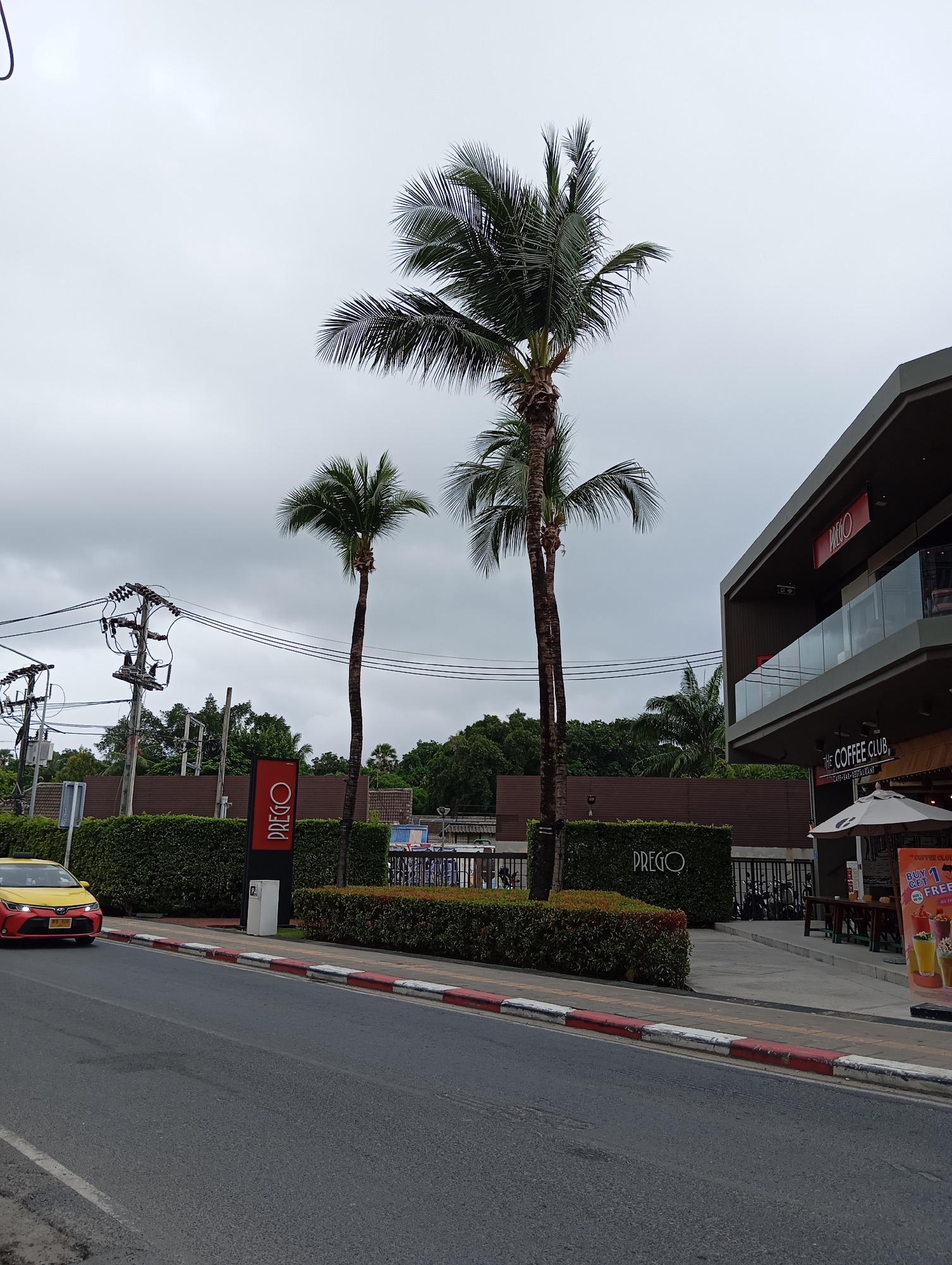 In Karon, Thailand, on a cloudy day, a yellow taxi is seen driving on the left side of a road. The taxi is in motion, heading away from the viewer, towards the left edge of the frame. To the right of the road is a red and white striped curb, followed by a well-maintained hedge. Behind the hedge, a tall palm tree stands out against the overcast sky. Further to the right, a modern, multi-story building with a dark facade and glass railings is visible. Signs on the building indicate the presence of "PREGO" and "THE COFFEE CLUB." An umbrella is set up outside the coffee shop, and promotional posters for drinks are displayed. Another, shorter palm tree is situated between the hedge and the building. In the background, utility poles and wires are prominent, suggesting an urban or semi-urban setting. The overall scene depicts a commercial area with a tropical ambiance.