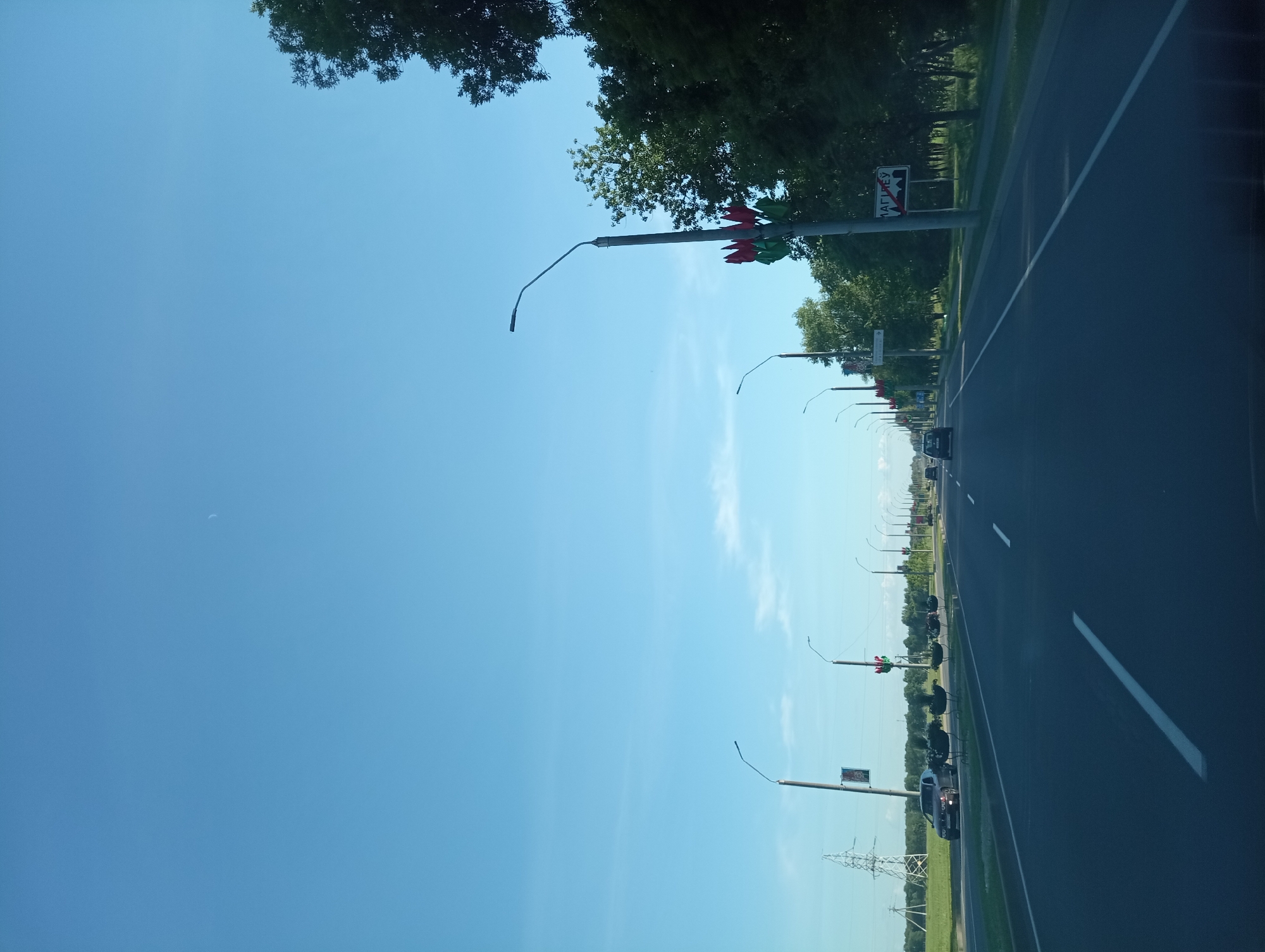 The image captures a view from inside a vehicle traveling on a multi-lane road, likely a highway, on a clear day with a pale blue sky. In the foreground, the asphalt road is marked with white lane lines. The road is flanked by grassy verges and trees on the right. On the left side of the road, there are fields and a large power pylon.
Several streetlights are visible along the road, some decorated with red and green flags. There are also decorative planters with bird-like structures along the roadside. A sign with Cyrillic text, possibly indicating a town or region, is visible on the right side. Traffic is light, with a few cars visible on the road in the distance. The environment suggests a semi-urban or suburban setting. The location in the city of Буйніцкі сельскі Савет, Belarus is indicated by the presence of a sign with Belarusian text.