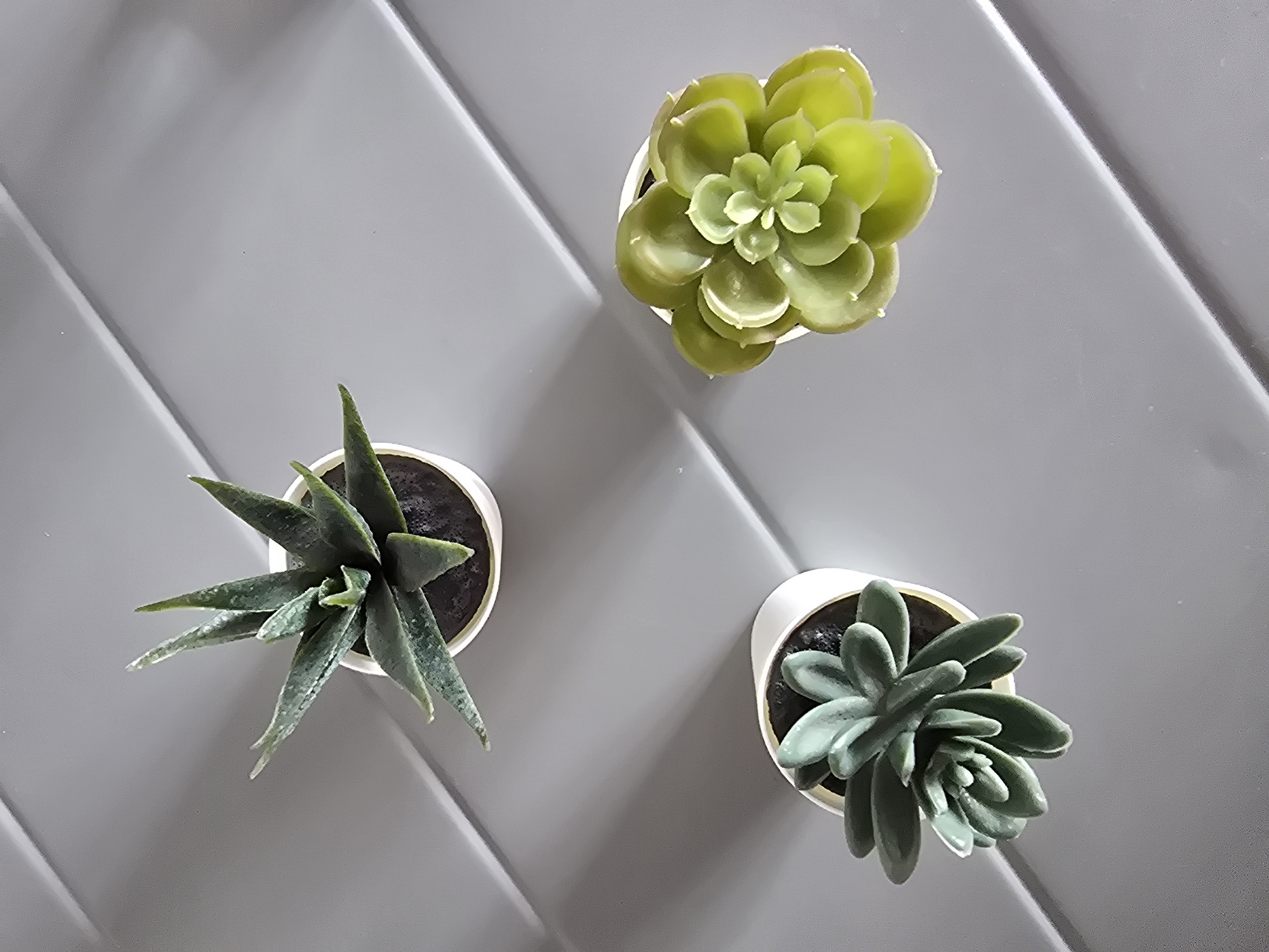 Three small potted succulent plants are arranged on a flat, gray surface with a ribbed texture. The plants are positioned in a triangular formation. The top plant is a dark green succulent with pointed, elongated leaves. To the left and slightly below is another succulent with pale green, fleshy leaves arranged in a rosette. To the right and below the first plant is a bright green succulent with plump, rounded leaves, also arranged in a rosette. The scene appears to be indoors, on a surface that could be a shelf or tabletop, with shadows cast by the plants and the ribbed texture of the surface indicating an artificial light source. The image's context is a photograph taken in Sofiivska Borshchahivka, Ukraine.
