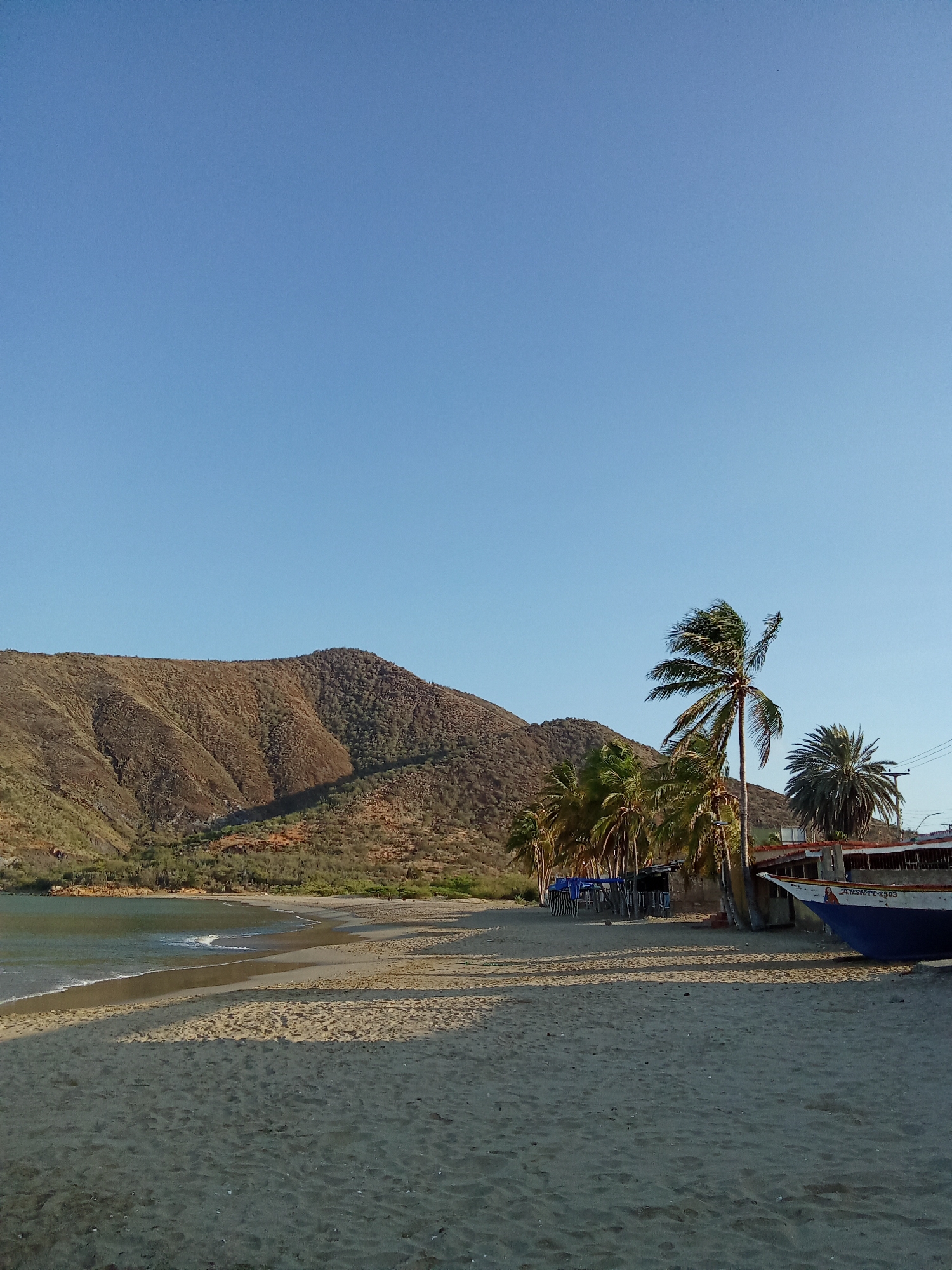 The image shows a beach scene in Juan Griego, Venezuela. A sandy beach occupies the foreground, leading to a small bay with gentle waves. In the background, a large, brown mountain rises. Palm trees are scattered along the beach, near a partly visible blue boat. A small structure with blue tarps is also present. The sky is a clear, light blue.