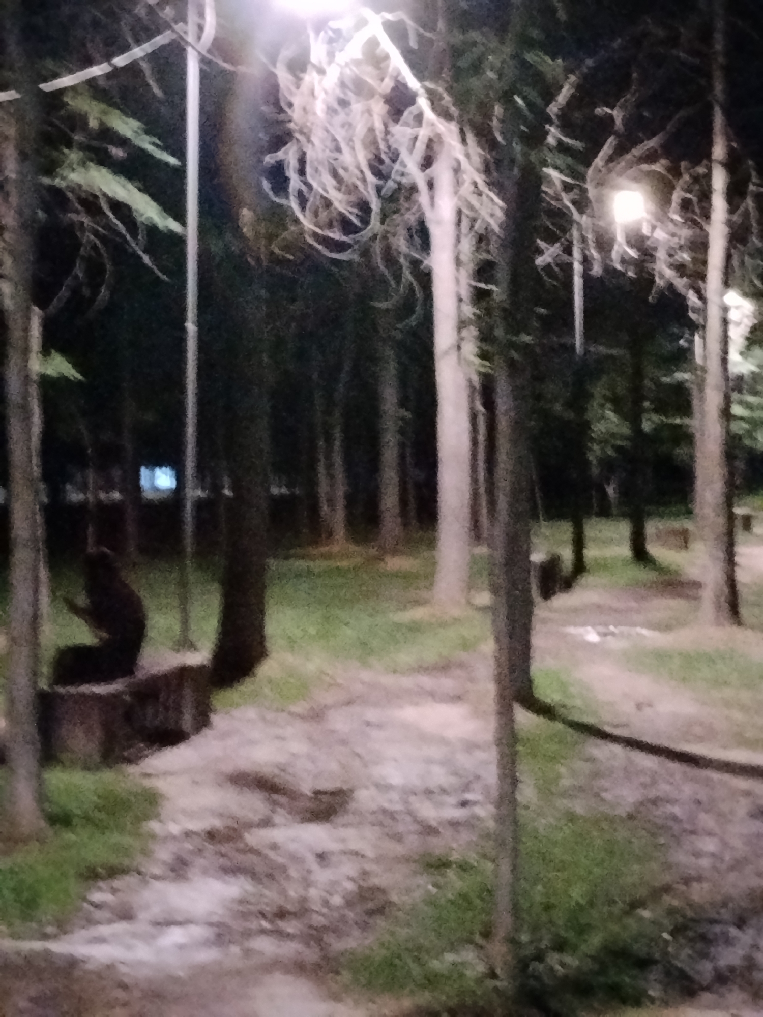 An outdoor pathway with a dirt and gravel surface winds through a wooded area illuminated by artificial lighting. Tall, thin trees with bare branches and some foliage line the path. In the mid-ground to the left, a dark, humanoid-shaped sculpture or object is seated on a rough-hewn, dark-colored block or bench. One street lamp is visible in the upper portion of the frame, casting a bright light, while another faint light source is seen in the distance. The ground is covered in grass and scattered debris. The overall scene suggests a park or recreational area at night.
