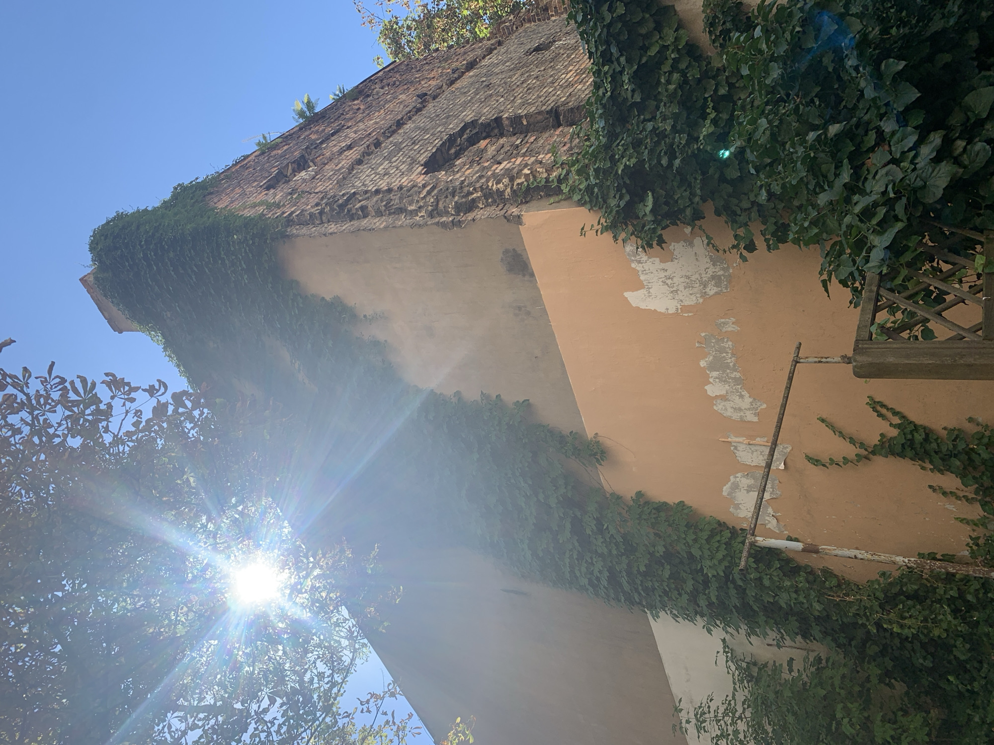 The image depicts the corner of a weathered building with exposed brickwork on one side, partially covered in ivy. The other side of the building is plastered in a faded peach color, with areas of peeling paint. Sunlight beams through the leaves of a tree on the left, creating lens flare and casting a bright glow. The building appears to be an old structure, possibly in a state of disrepair. In the foreground, there is a section of a weathered wooden fence and some overgrown greenery. The sky is clear and blue. There are no people or animals visible in the image. The scene suggests a neglected urban environment, possibly in an older part of the city. The image was taken in Poznan, Poland, and it could be an alleyway or a courtyard behind older buildings.