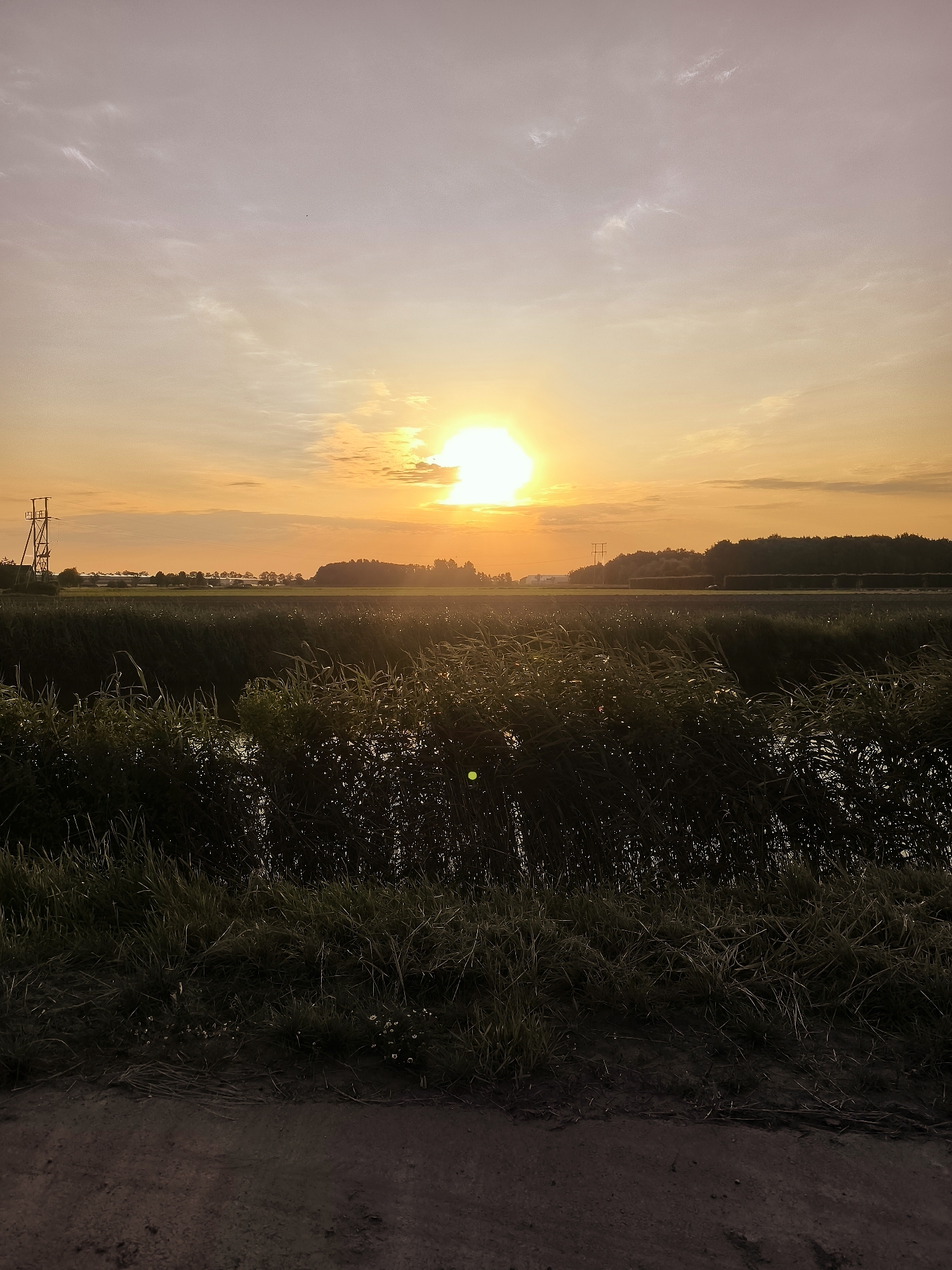 An outdoor, vertical shot captures a sunset over a rural landscape in Andijk, Netherlands. The sun, a bright orb with visible rays, is positioned centrally in the sky, casting a warm, orange glow. The sky transitions from a pale pink at the top to a vibrant orange near the horizon, with scattered clouds adding texture.
In the foreground, tall, dark green reeds and grasses dominate the scene, appearing to grow along the edge of a body of water. The ground in the immediate foreground is a dark, earthy path or dirt road.
Further in the background, a flat, green field stretches towards a line of trees that forms the horizon. A faint silhouette of a large, industrial-looking tower or structure is visible on the left side of the field. A few rectangular shapes, possibly bales of hay, are spaced along the tree line in the center of the frame. Power lines are also faintly visible stretching across the middle ground. The overall atmosphere is serene and natural, characterized by the warm hues of sunset.
