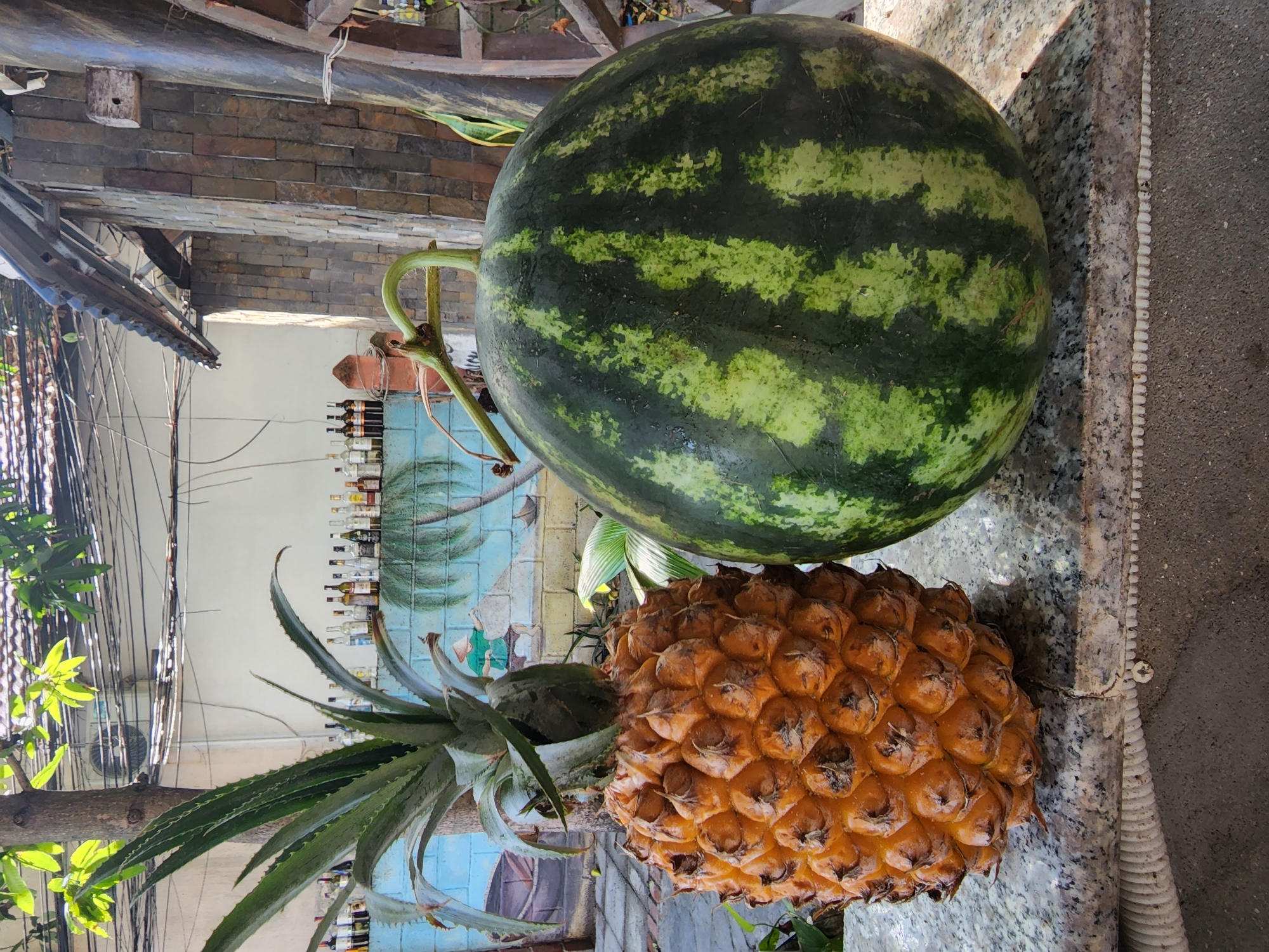 The image displays a large, ripe, orange-brown pineapple with a green crown situated on the left, next to a large, round, green-striped watermelon with an attached stem on the right. Both fruits rest on a speckled light-colored granite or marble countertop. Beneath the countertop, a white corrugated plastic or similar textured trim is visible, followed by a darker gray concrete or ground surface.
In the midground, behind the pineapple, a tree trunk with bright green leaves is partially visible. Further back and to the left, a light blue brick wall features a mural depicting a traditional Vietnamese scene with a figure in a conical hat, boats, and a palm tree silhouette. Above this mural, a collection of approximately 20-25 assorted glass bottles, primarily spirits, are arranged on a narrow ledge.
To the right, a vertical architectural structure composed of stacked, dark, rectangular stone tiles is present. The upper background reveals a white building wall, an external air conditioning unit, numerous black electrical wires running horizontally, and a dark corrugated roof. Sunlight illuminates the scene from the upper left, casting shadows. The scene is located in Phan Thiet Ward, Vietnam. No people or animals are present.