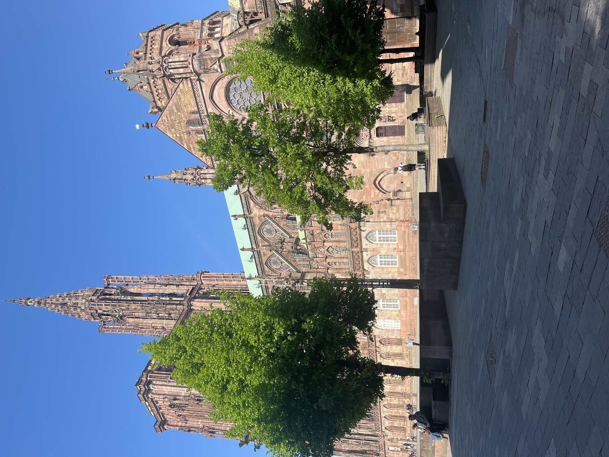 This image depicts the Strasbourg Cathedral in Strasbourg, France. The cathedral is made of reddish-brown stone and features intricate Gothic architecture, including a tall spire, arched windows, and decorative elements. Two green trees partially obscure the view of the cathedral's facade. A stone-paved courtyard extends away from the cathedral. Several people are present, including individuals walking and sitting on benches near the building. The sky is a clear, bright blue. The picture is taken from a low angle, emphasizing the height of the cathedral.