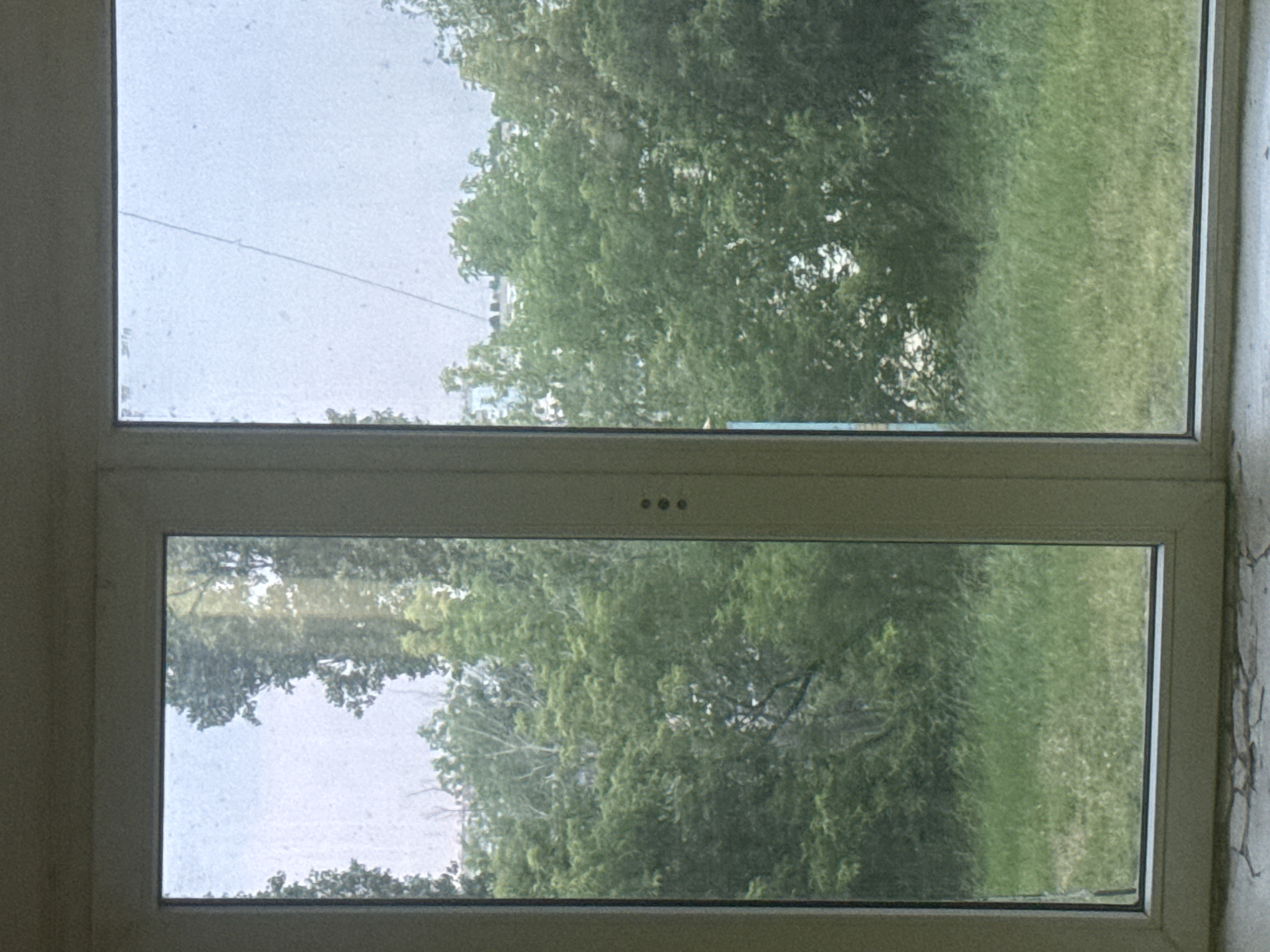 The image shows a view through a dirty, double-paned window. The window is divided vertically into two equal panes. The left pane is closer to the viewer and shows a patch of green grass in the foreground and a dense cluster of green trees with tall trunks behind it. The right pane is slightly further away and also shows green grass in the foreground and dense green trees behind it. In the distance, beyond the trees, there are glimpses of buildings. The sky is overcast and appears light gray. There are faint, almost imperceptible reflections on the glass, and a thin, dark wire runs diagonally across the upper right portion of the right pane. The frame of the window is a light, neutral color, and a series of three small, dark dots are visible on the frame in the center of the image, between the two panes. The windowsill is visible at the bottom of the image and appears to be a rough, light-colored surface with some cracks. This image was taken in Saratov, Russia.