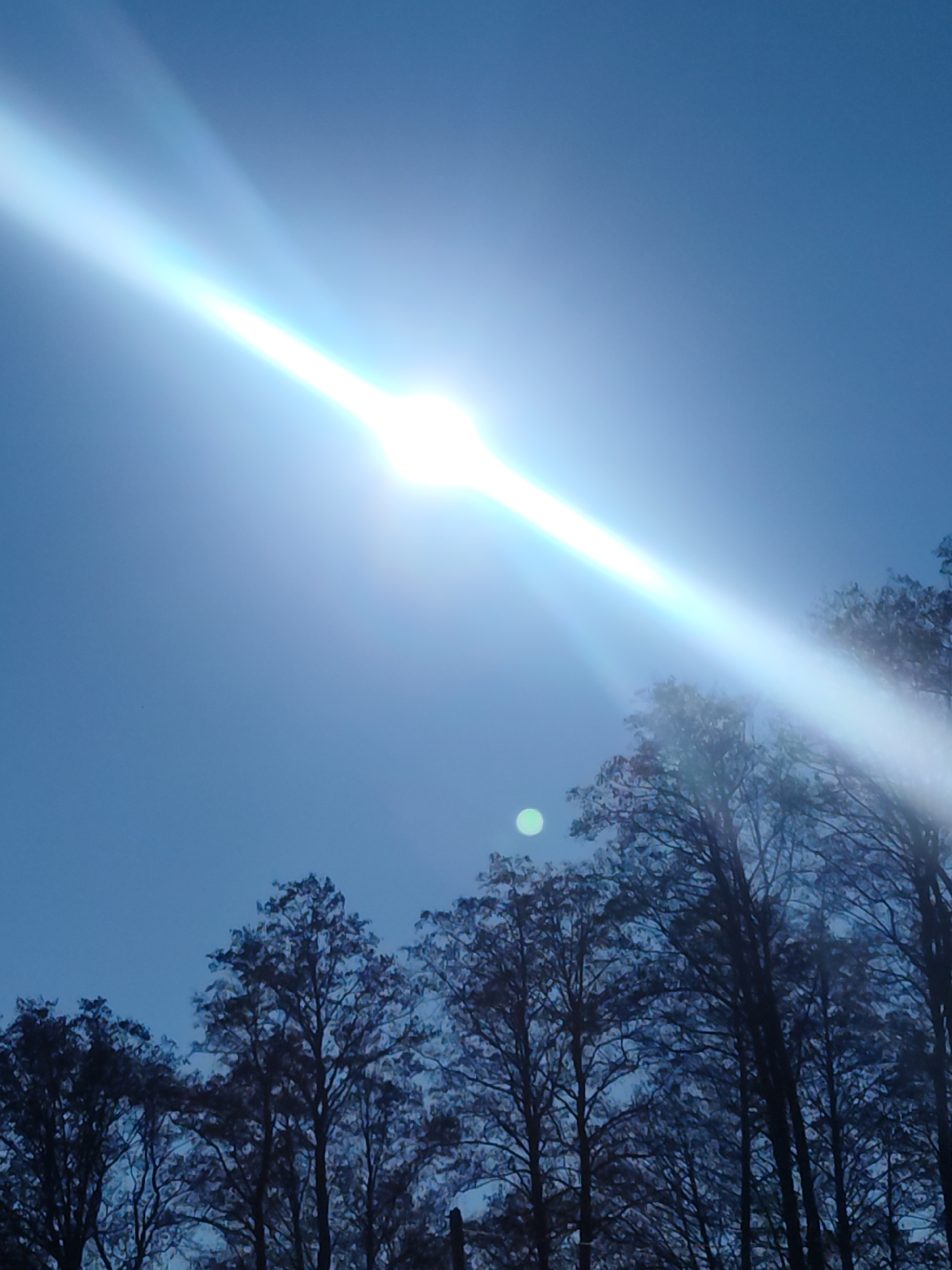 The image shows a bright sun in a blue sky, obscured by a lens flare that extends horizontally across the frame. Silhouetted trees are visible in the lower portion of the image, appearing dark against the bright sky. The location is Chaikovsky, Russia. No people are visible. The scene depicts natural light and trees against a clear sky.