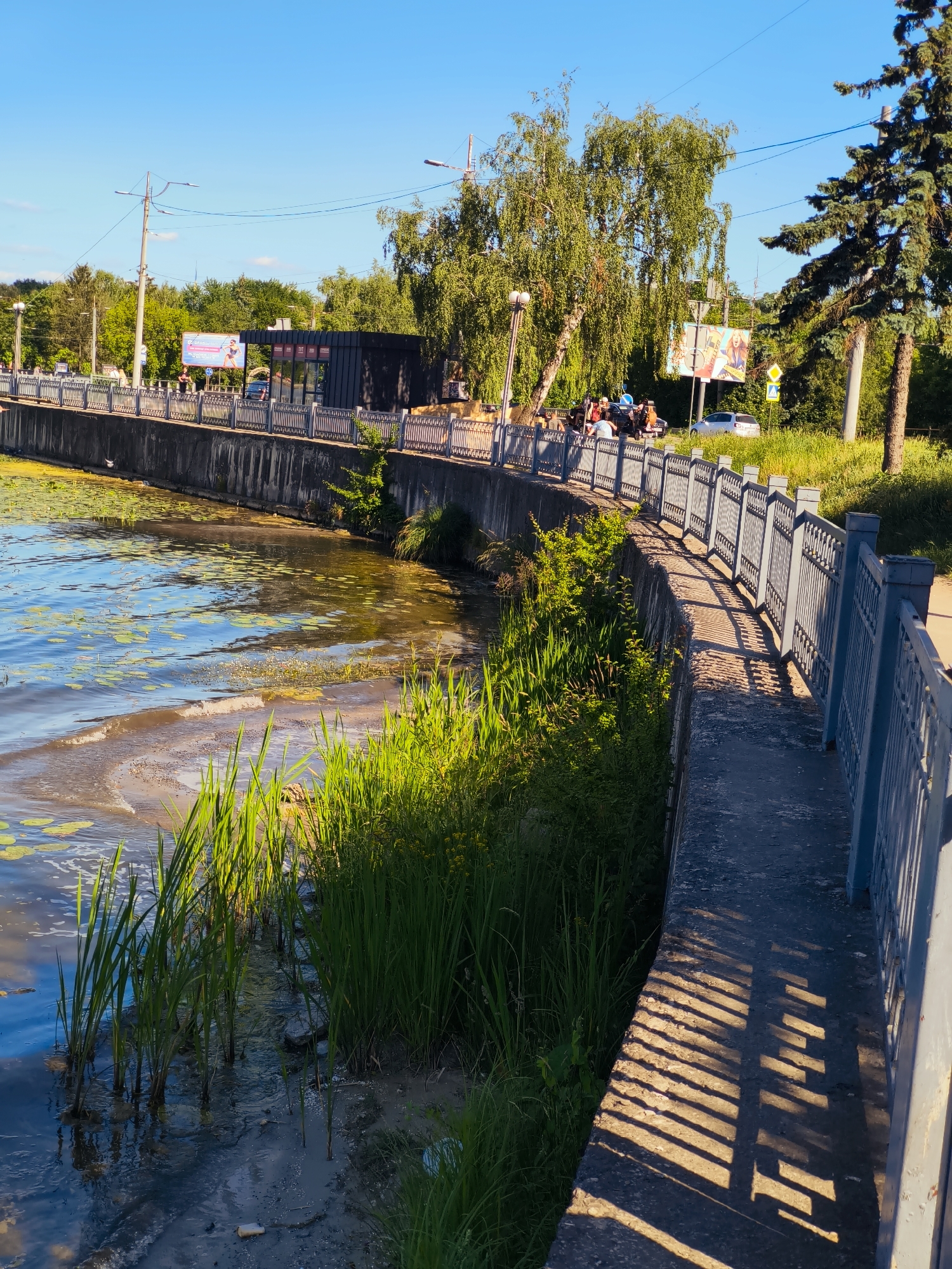 The image captures a scenic view of the Ternopil Pond embankment in Ternopil, Ukraine. The pond's water, partially covered with lily pads, reflects the clear blue sky. Tall green grass grows along the muddy bank. A paved walkway runs alongside the pond, bordered by a decorative metal fence. Beyond the walkway, a modern building with large windows is visible, and further back, trees and utility poles dot the landscape. Several people are seen near the building and along the walkway, some appearing to be on bicycles. The scene is illuminated by sunlight, casting shadows from the fence onto the walkway.