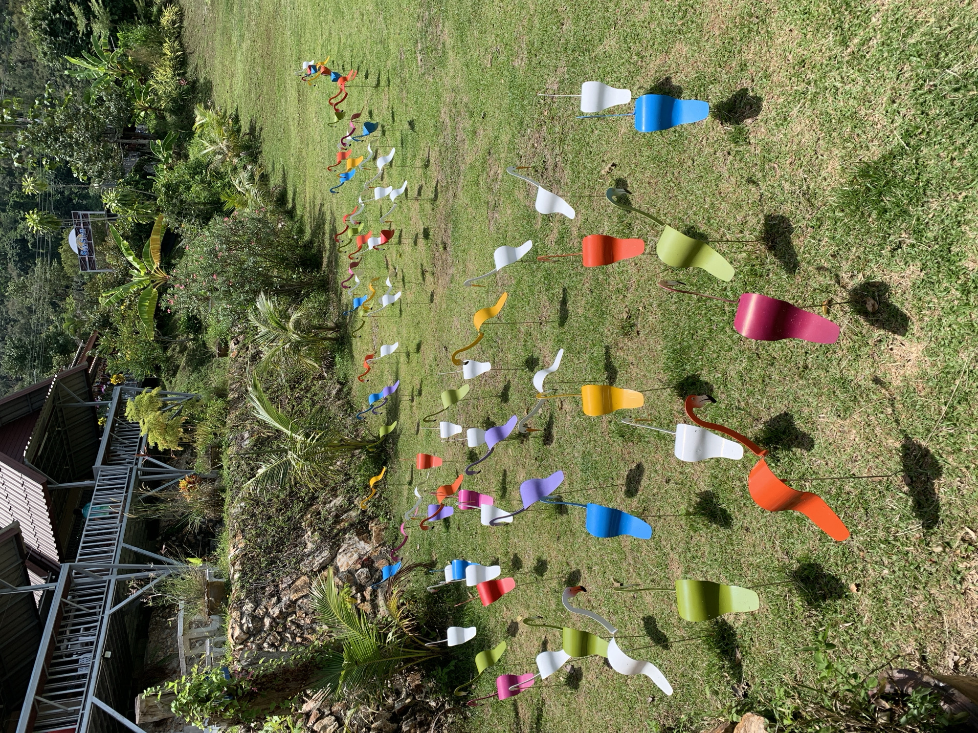 The scene depicts a grassy field in Baan Thurian, Thailand, populated with numerous colorful metal flamingo sculptures. These sculptures, arranged in rows, feature varied hues on their bodies, contrasted by white wings. The foreground shows a building with a metal framework structure, and a rock retaining wall with vegetation. A lush, green forest borders the field, and rolling hills can be seen in the distance. The lighting suggests a bright, sunny day.