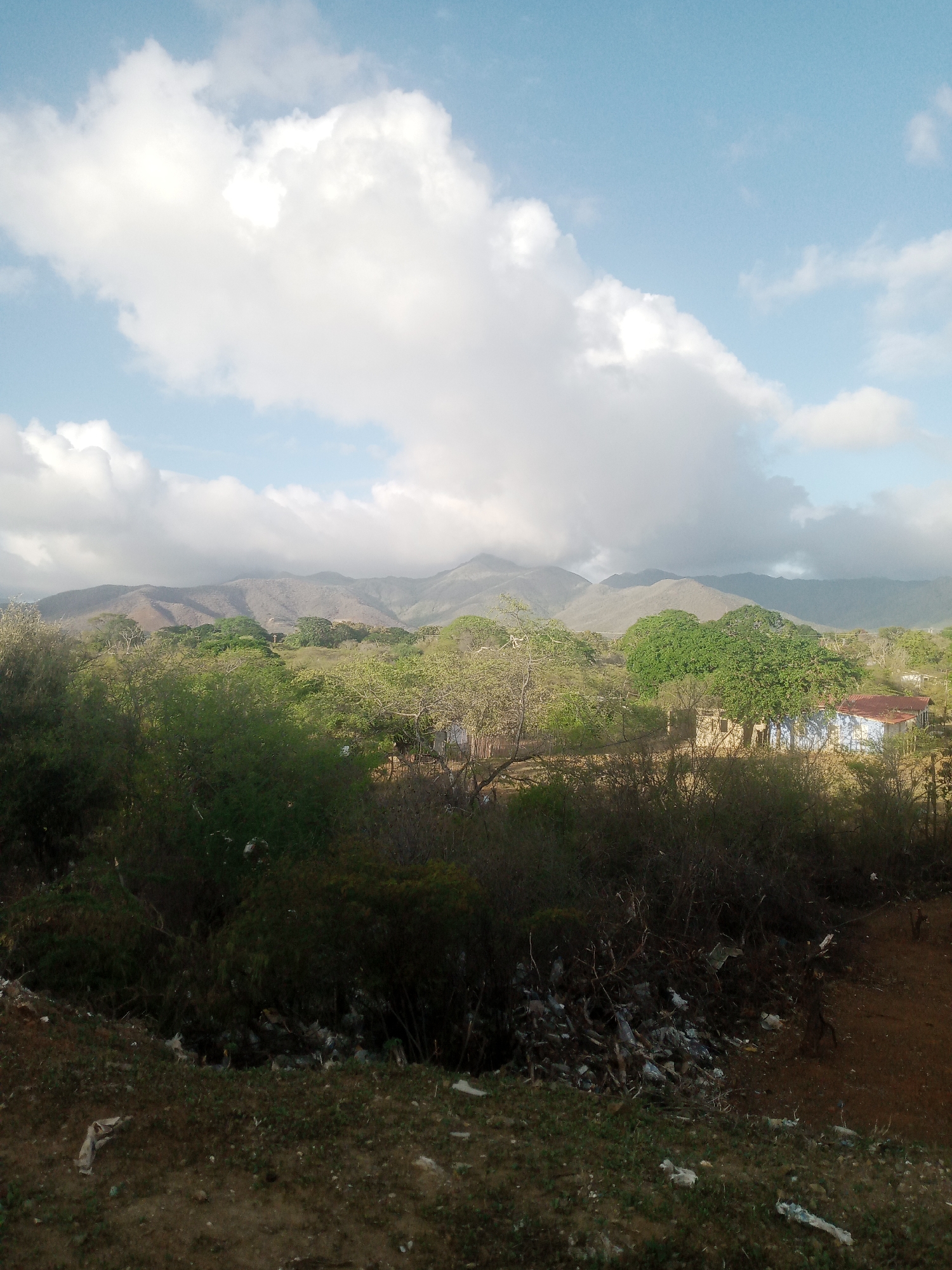 This image depicts a rural landscape near La Tagua, Venezuela. In the foreground, a patch of dry, brown earth is littered with discarded plastic and debris. Beyond this, a dense thicket of dark green vegetation forms a wall across the mid-ground. Emerging from this vegetation are several trees with lighter green foliage. In the distance, a cluster of buildings, including a light blue structure with a rusty red roof and what appears to be a small tan building, are visible. These structures are nestled amidst more trees. The background is dominated by a range of hazy, mountainous terrain. The sky above is a pale blue, partially obscured by large, billowy white clouds.