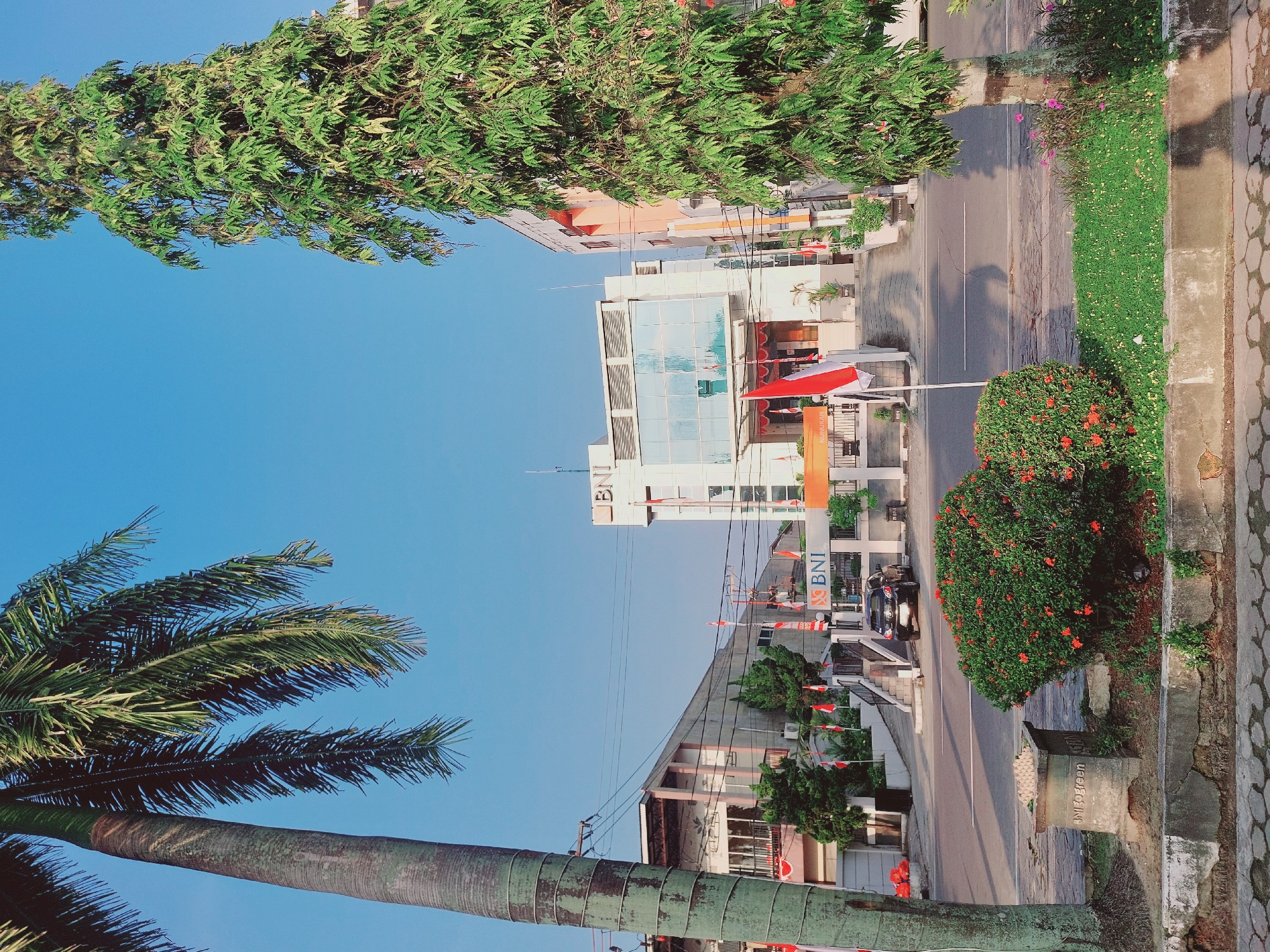 The image captures a street scene in front of a BNI bank in Nunukan, Indonesia, bathed in the warm light of a clear, blue sky. A tall palm tree dominates the left side of the frame, its trunk thick and textured, with feathery fronds hanging down. To the right, a slender, tall tree with dense green foliage stands prominently.

In the mid-ground, the modern facade of the BNI bank building is visible. It's a white, multi-story structure with large glass windows reflecting the sky and surrounding environment. The bank's logo, "BNI," is clearly displayed. Red and white Indonesian flags are placed along the entrance and walkway leading up to the bank, suggesting a celebration or national event. A black car is parked in front of the building.

The foreground features a road with clear lane markings, indicating it's a public thoroughfare. Beside the road, a small concrete planter box contains lush green grass and a dense bush with small red flowers. Another similar bush with red flowers is situated to the left of the planter. In the far left of the foreground, a concrete structure is visible with the inscription "BNI 30 Green." The ground is paved with interlocking concrete blocks. The overall impression is one of an organized and well-maintained urban environment.