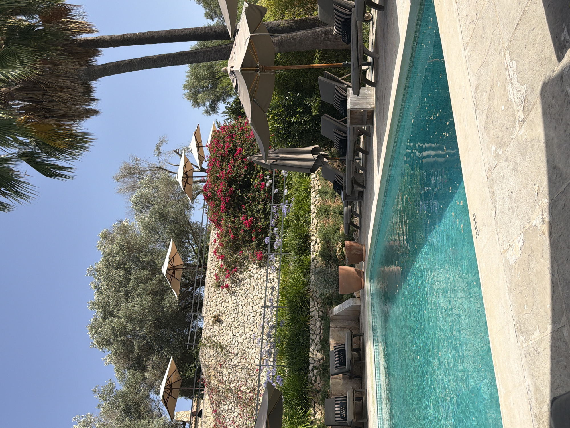 This image depicts a tranquil outdoor swimming pool area, likely a resort or private villa, bathed in bright sunlight. The pool itself is a vibrant turquoise, with visible "200" marking on its edge. The surrounding patio is paved with light-colored stone tiles.
Several lounge chairs, upholstered in dark fabric with striped cushions, are arranged on the patio. Some chairs have small wooden tables between them. Two large potted plants, one terracotta and one a darker shade, are placed near the chairs. In the background, a tiered stone wall supports lush greenery, including vibrant pink flowering bushes and tall palm trees. Several light-colored umbrellas are positioned around the area, offering shade. A glimpse of two people can be seen in the far left background, near some of the umbrellas.
The overall atmosphere is one of relaxation and luxurious leisure, set against a backdrop of natural beauty and manicured landscaping. The location is identified as the city of Montuïri, Spain, suggesting a Mediterranean setting.