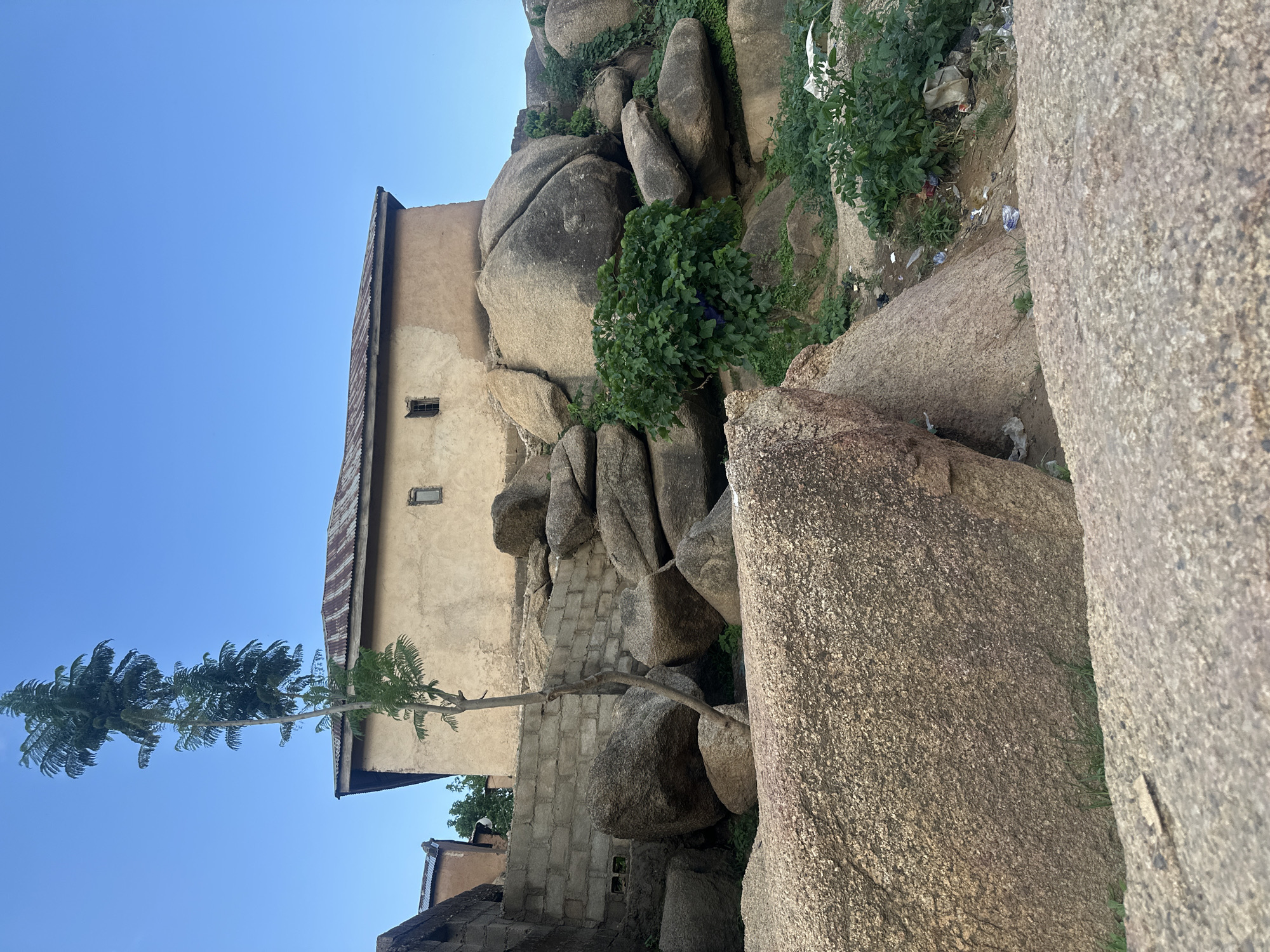 This image depicts a building constructed with ochre-colored plaster and a corrugated metal roof, situated amidst a landscape dominated by large granite boulders and sparse vegetation. The building has two small, square windows on its facade. In the foreground, a tall, slender tree with feathery leaves grows to the left, leaning slightly towards the building. The ground is uneven, covered with rocks of various sizes, and some scattered litter is visible on the right side of the frame, indicating a potentially underdeveloped or unmanaged area. The overall scene suggests a rural or semi-urban environment. The location is identified as the city of Jos, Nigeria, a region known for its rocky terrain and granite outcrops.