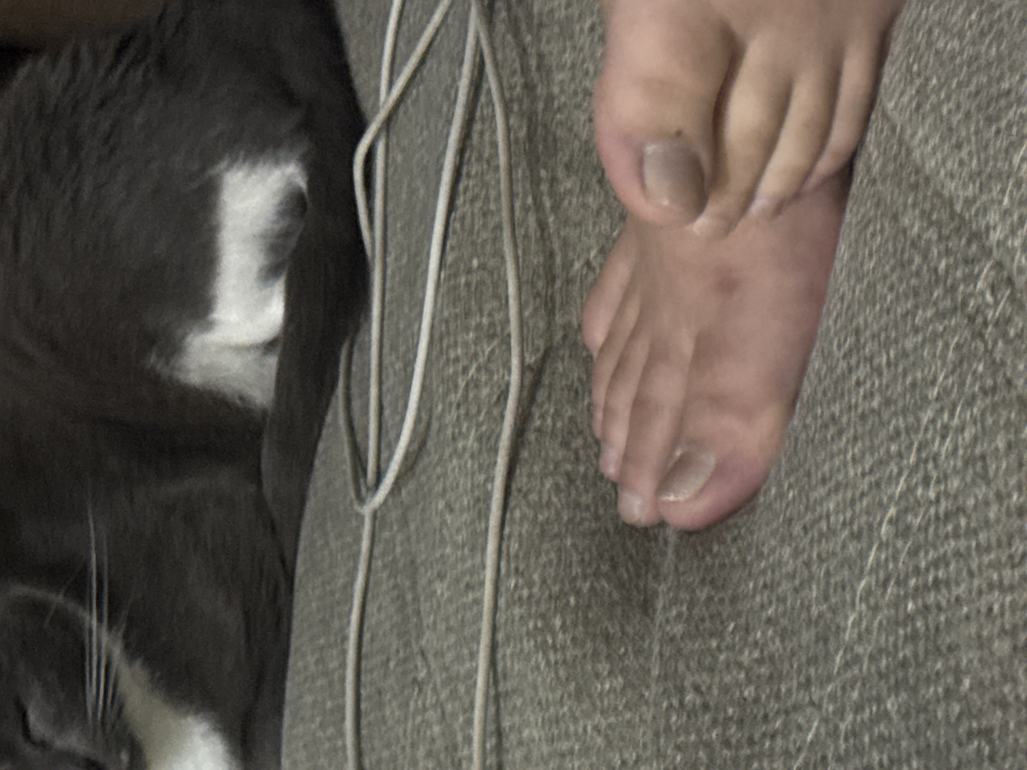 The image shows a grey cat lying on a textured, grey surface. A human foot is positioned in the foreground, with toes visible and resting on the same surface. White cords are laid across the grey surface. The location of the image is not specified and cannot be determined from the provided visual information.