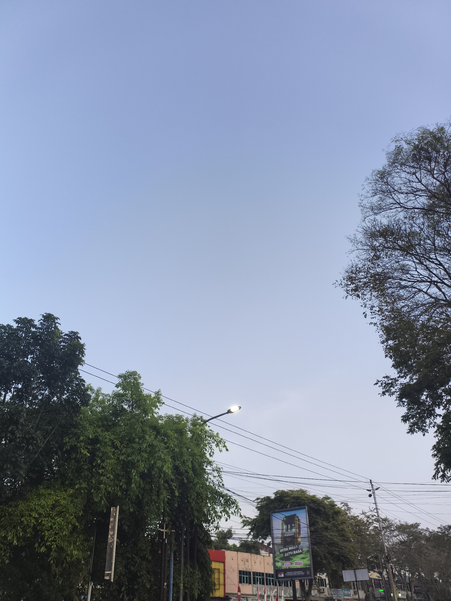 The image depicts a street scene in Magelang, Indonesia, under a clear, pale blue sky. Dense green foliage from trees on the left side of the frame partially obscures the view of a building and utility poles. A street lamp is visible on a pole extending from the left. In the middle ground, a large billboard displays an advertisement, with text that appears to read "BEDA MASA SATU RASA". More trees with sparser leaves are present on the right side, framing the sky. Utility wires crisscross the upper part of the scene. The overall impression is that of an urban environment with significant tree cover, likely during daylight hours with subdued lighting. There are no people clearly visible in the image.
