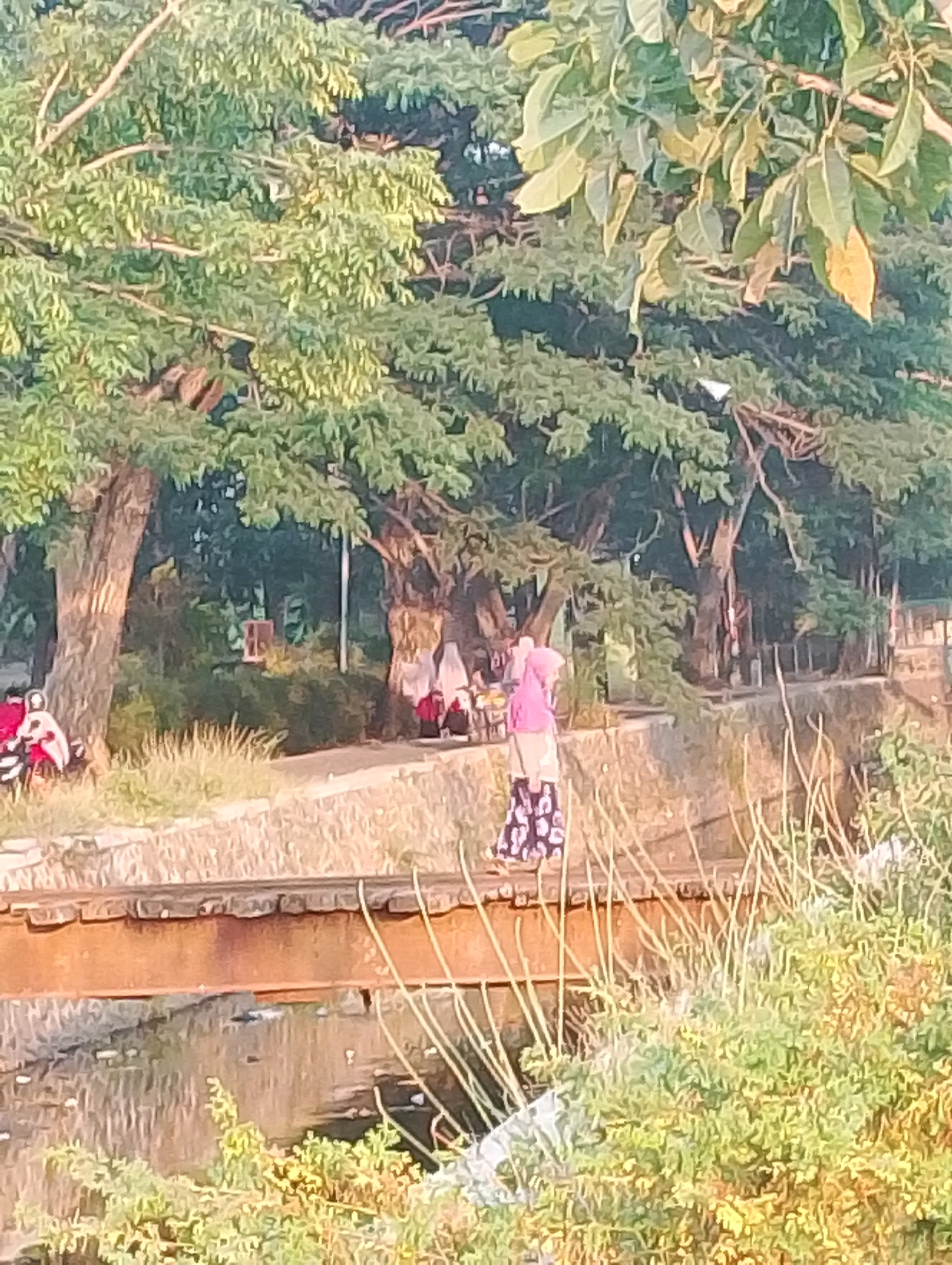The image depicts a canal with a wooden bridge crossing it, set against a backdrop of lush trees and greenery. On the left side of the bridge, a person on a red motorcycle is visible. On the bridge, two individuals are present; one is wearing a pink hijab and a patterned skirt, while the other is partially obscured but appears to be wearing a red outfit. Further back, on the bank of the canal, several people are gathered, some of whom are also wearing headscarves. The scene appears to be a public space, possibly a park or a riverside area, with a paved walkway or road running alongside the canal. The sunlight suggests it is daytime, with a warm, golden hue cast over the scene, indicating either early morning or late afternoon. This setting is consistent with the riverside areas found in Probolinggo, Indonesia, which often feature such natural landscapes and recreational spaces.