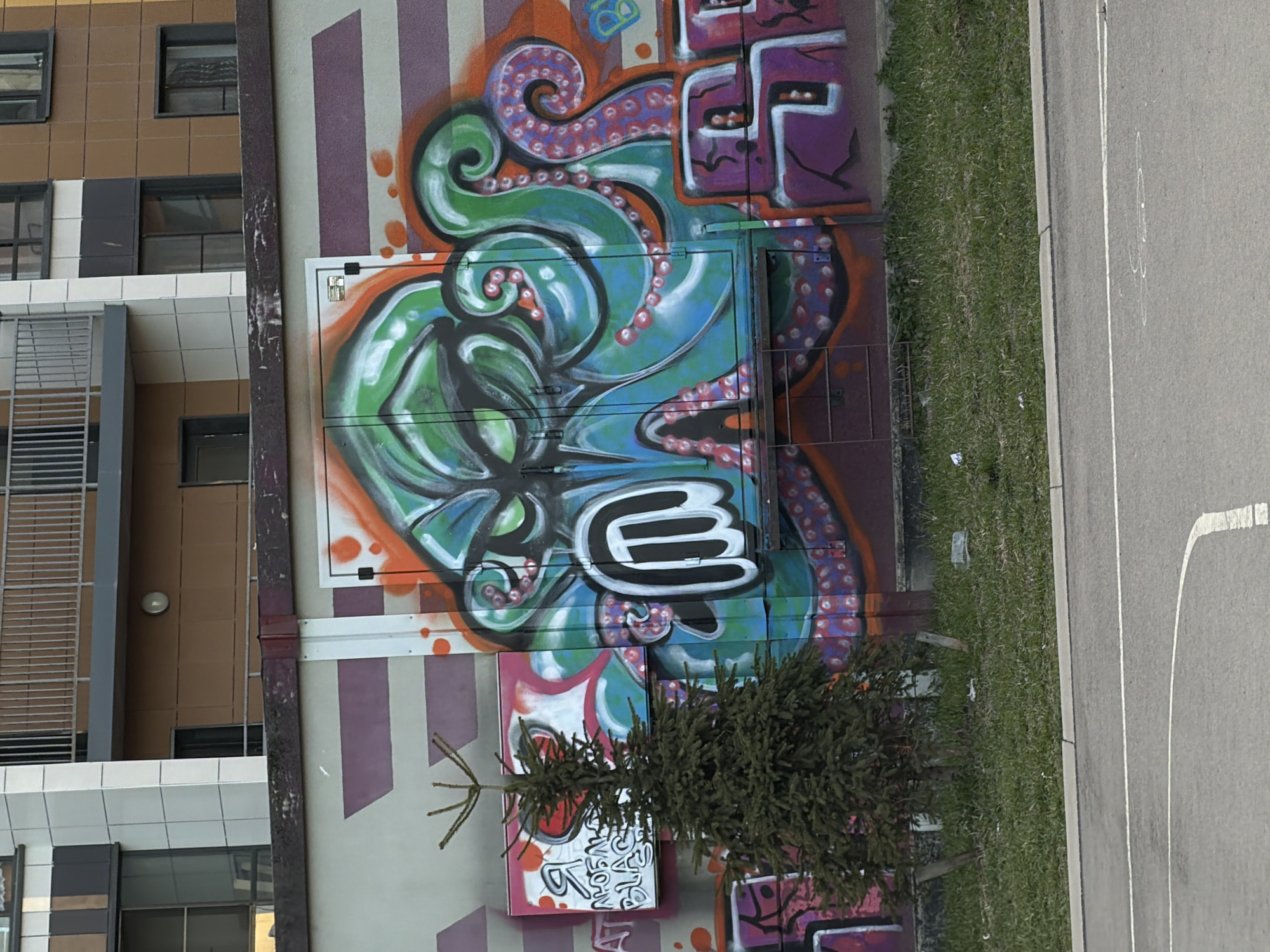 This image, captured in Murino, Russia, presents an urban outdoor scene rotated 90 degrees counter-clockwise. The central element is a utility box or wall section adorned with a vibrant graffiti mural. The artwork features a dynamic, stylized octopus-like design with swirling patterns in shades of green, blue, and purple, highlighted by orange and pink dotted accents. A prominent white graffiti tag with a black outline, resembling a stylized letter "E" or "W," is centered within this colorful design.
To the left, a modern multi-story building with brown and white/grey facade panels and multiple windows stands. To the right of the mural, a paved road or path with white lines is visible, and a faint circular chalk mark suggests it might be a recreational area. A narrow strip of green grass separates the graffiti-covered wall from the paved surface.
In the foreground, a small, dark green coniferous bush partially obscures the lower section of the wall. Beneath the bush, a pink rectangular area on the wall features additional graffiti, with "BLACK PLACE" partially legible in white and black text. Further graffiti elements, including abstract purple block lettering and blue shapes, are visible in the upper right and center portions of the wall. The scene is bathed in natural daylight, indicating daytime. No specific activities are depicted.