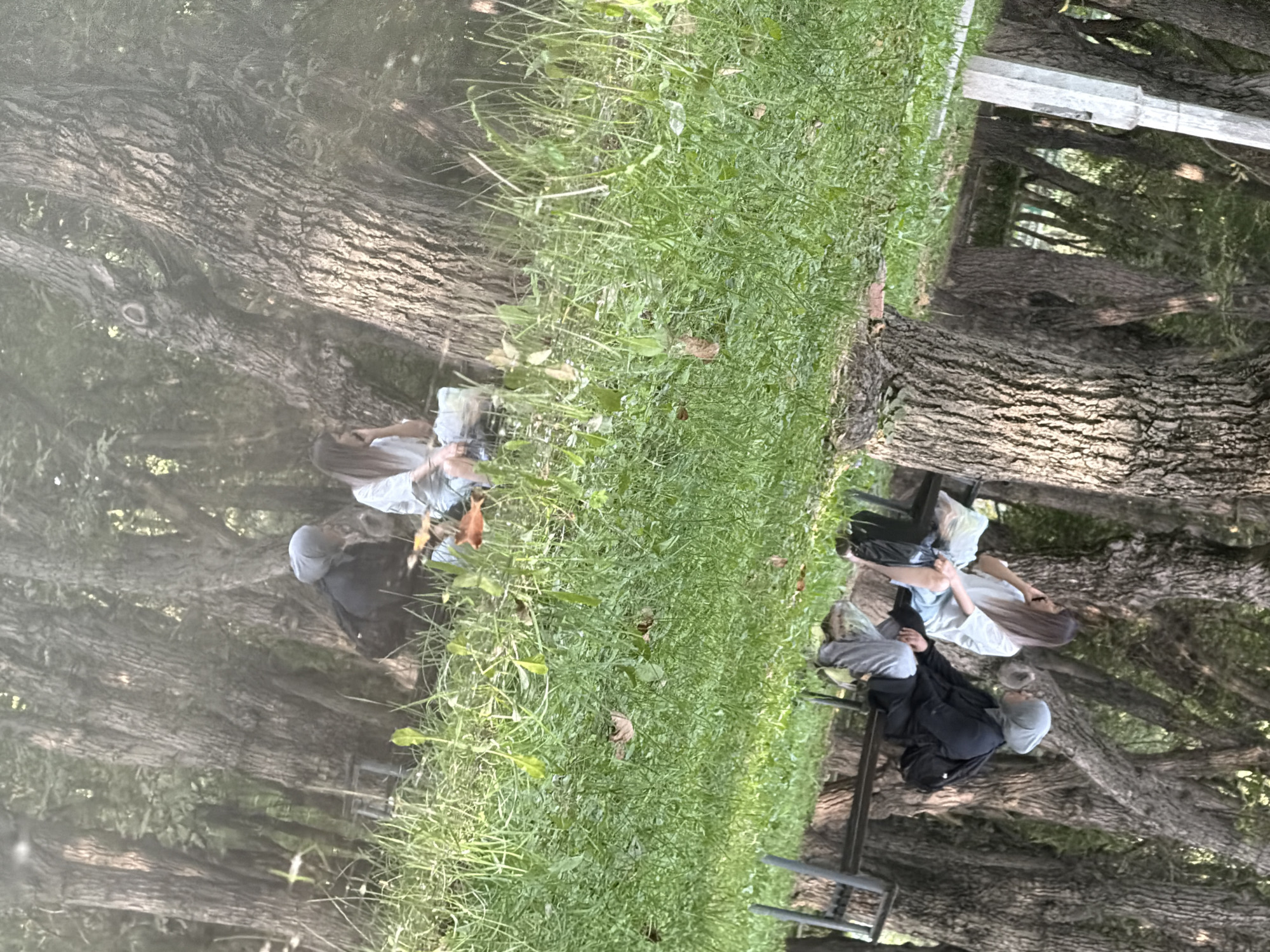 Two individuals are seated on a park bench in a wooded area, their reflections visible in the water in the foreground. The person on the left, with long, light-brown hair, wears a light-colored t-shirt and light-colored shorts. They are holding a white plastic bag. The person on the right, wearing a grey hijab, a dark jacket, and grey pants, has a backpack on. They are looking towards the left. The bench is dark and appears to be made of metal and wood. The ground around the bench is covered in green grass, with fallen leaves scattered about. The background consists of numerous trees with rough bark and dense foliage, suggesting a park or forest setting. The lighting indicates it is daytime.