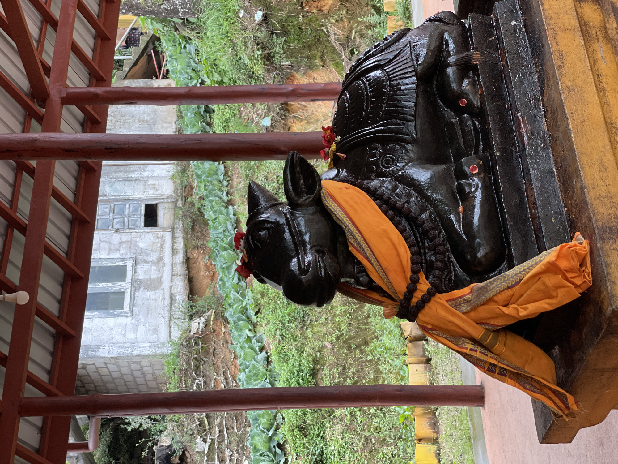 The image depicts a statue of Nandi, the sacred bull, within a Hindu temple setting, likely in Nuwara Eliya, Sri Lanka. The black-colored Nandi statue is adorned with an orange cloth and a string of prayer beads. Red flowers are placed around its head and neck. The statue is positioned on a stone platform with a yellow edge. In the background, a white building with windows can be seen amidst lush greenery, suggesting a landscape characteristic of the region. The temple structure includes red-brown wooden beams, indicating a sheltered area for the statue.
