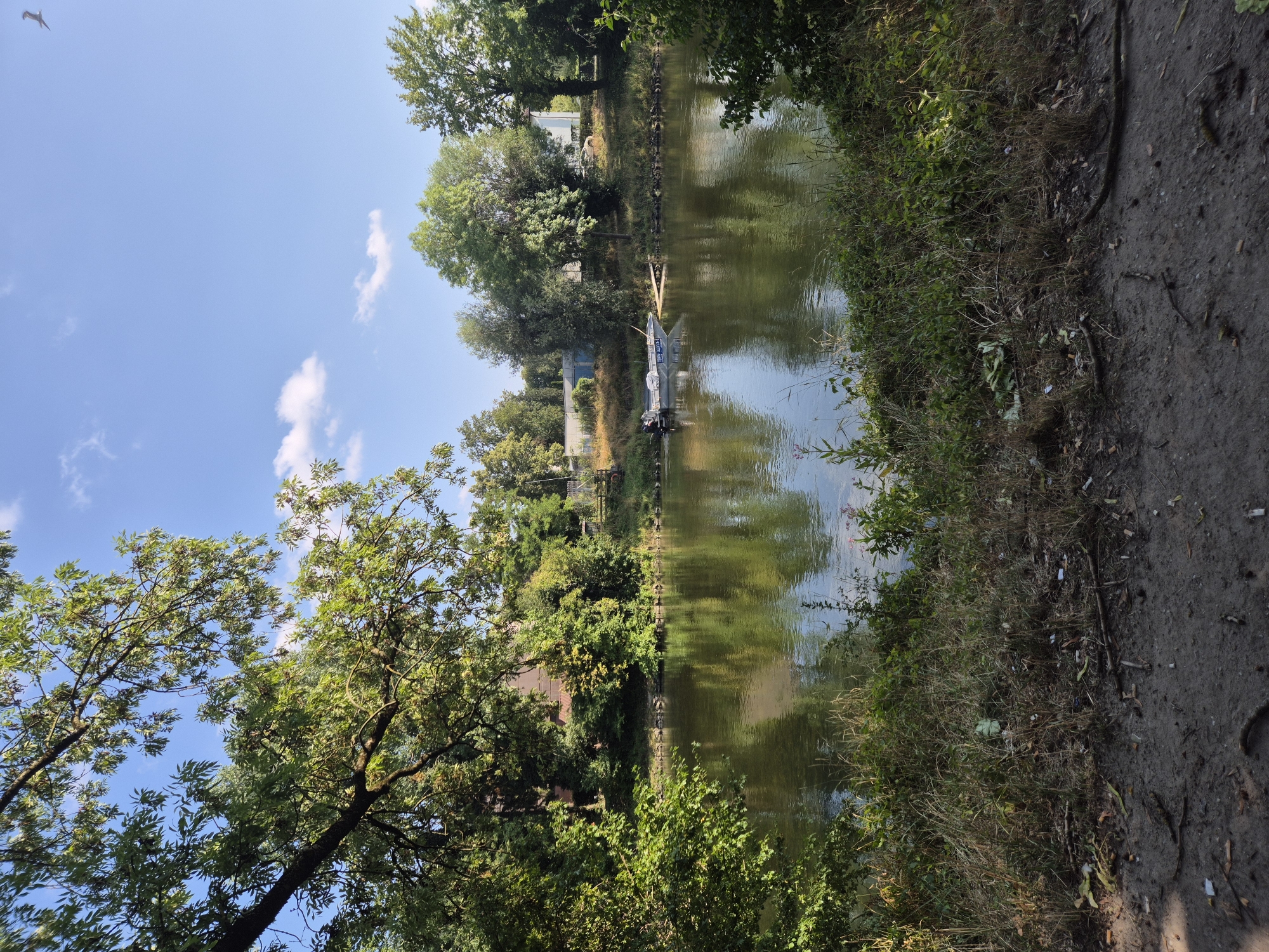A wide, calm river reflects the lush green trees and blue sky with scattered white clouds. On the far bank, a line of trees and vegetation partially obscures buildings and structures. In the middle of the river, a small gray boat with an outboard motor is docked at a wooden platform. The foreground of the image shows a dirt path leading to a grassy bank with dry leaves and twigs scattered on the ground. The scene appears to be a tranquil natural setting within an urban or suburban environment, possibly along the Isar River in Landshut, Germany. There are no people visible in the image.