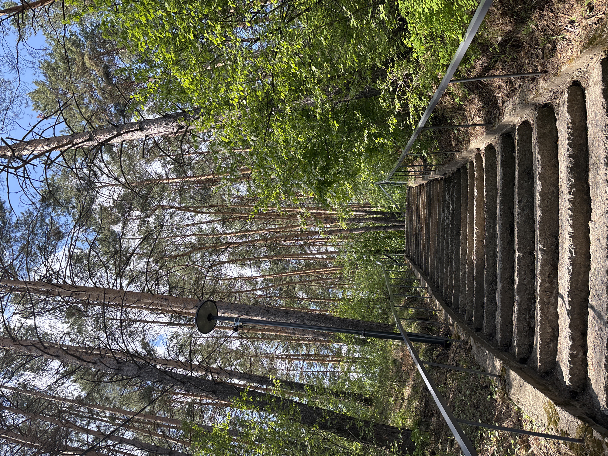 The image depicts a long, stone staircase ascending through a wooded area in Овсянка, Russia. The stairs have a metal handrail on one side. The surrounding environment features tall pine trees and green foliage. A street lamp is positioned amongst the trees. The sky is partially visible through the branches. There are no people visible in the scene.